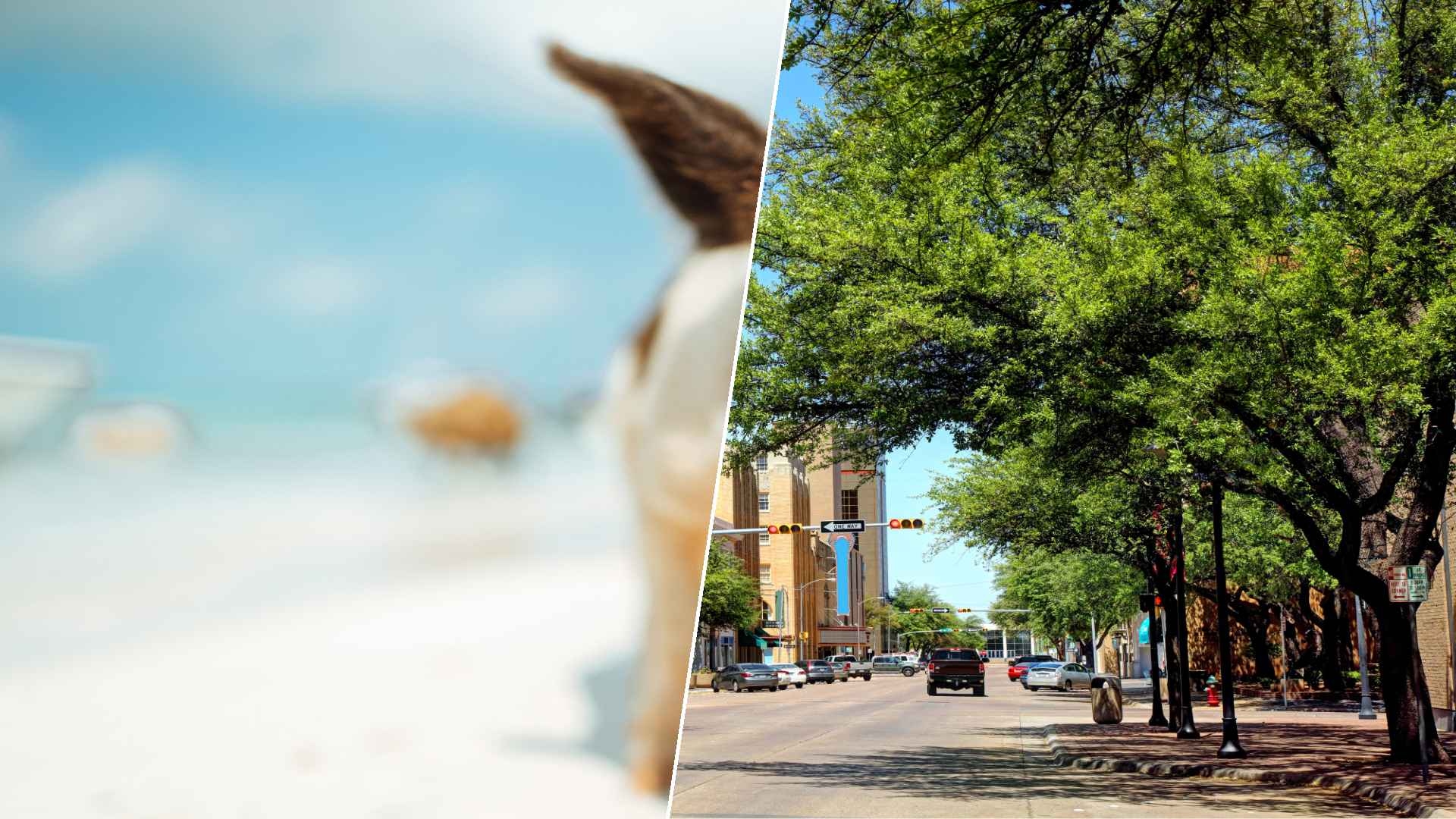 Staniel Cay to Abilene