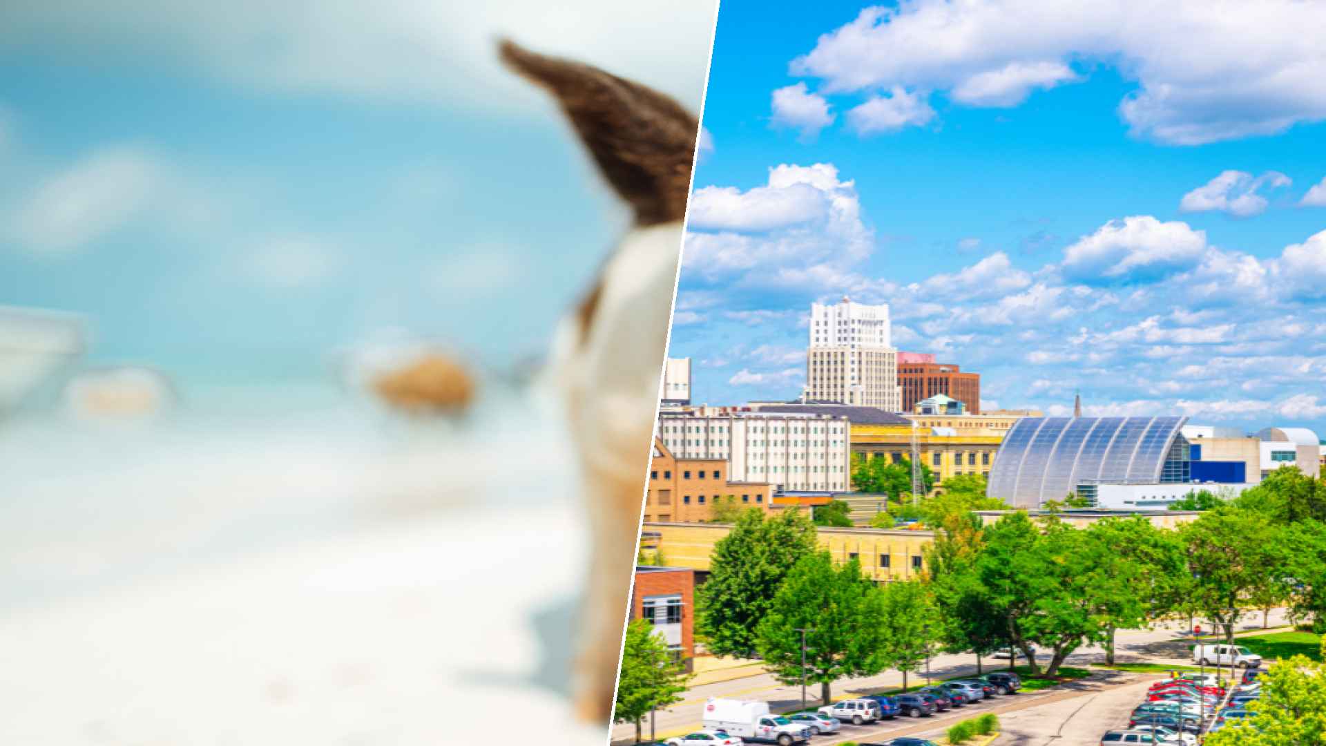 Staniel Cay to Akron