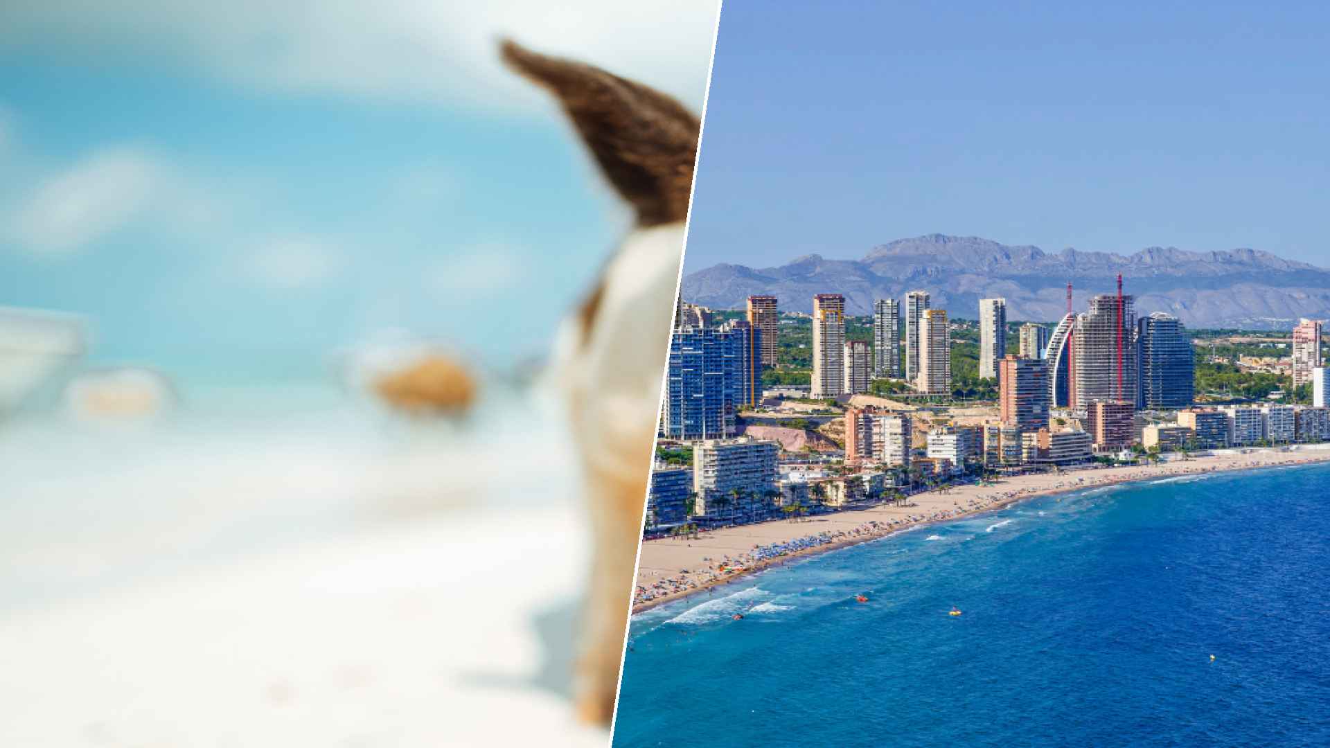 Staniel Cay to Alicante