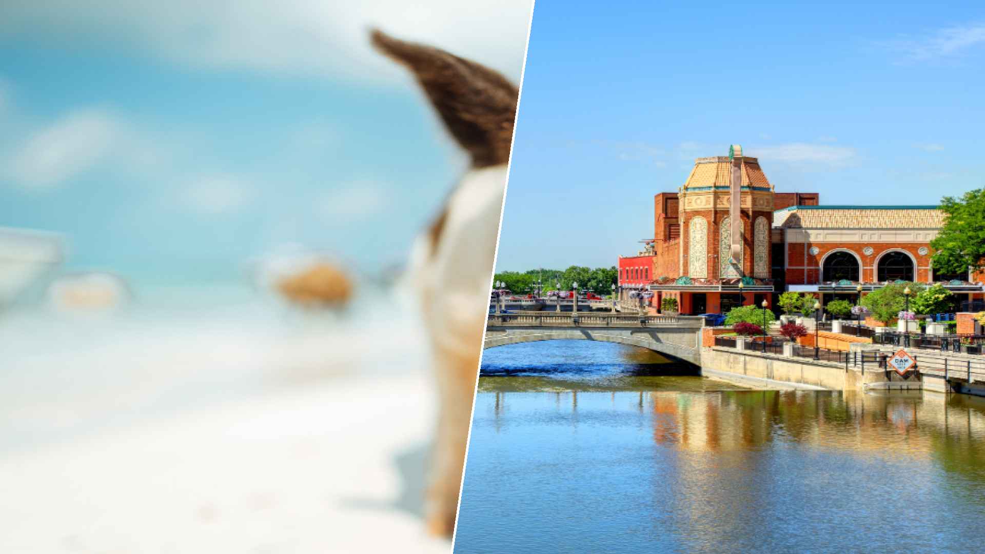 Staniel Cay to Aurora