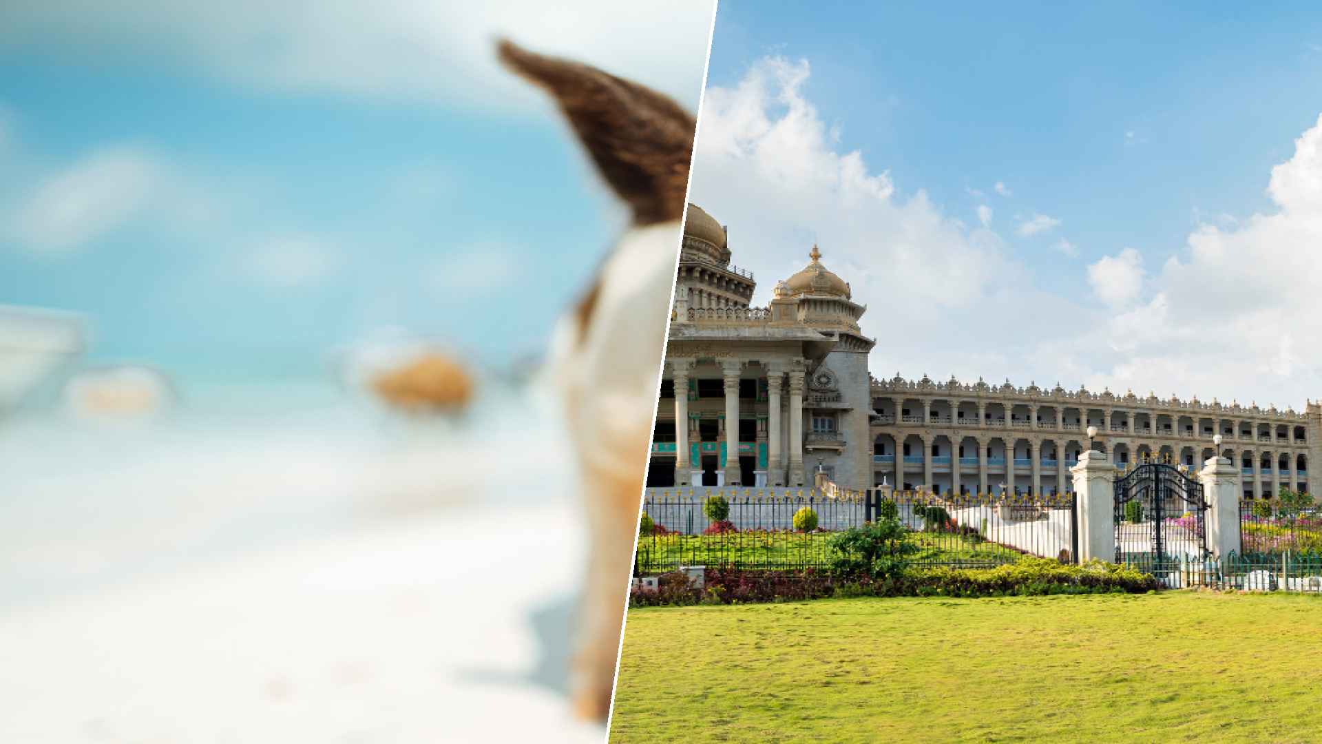 Staniel Cay to Bangalore