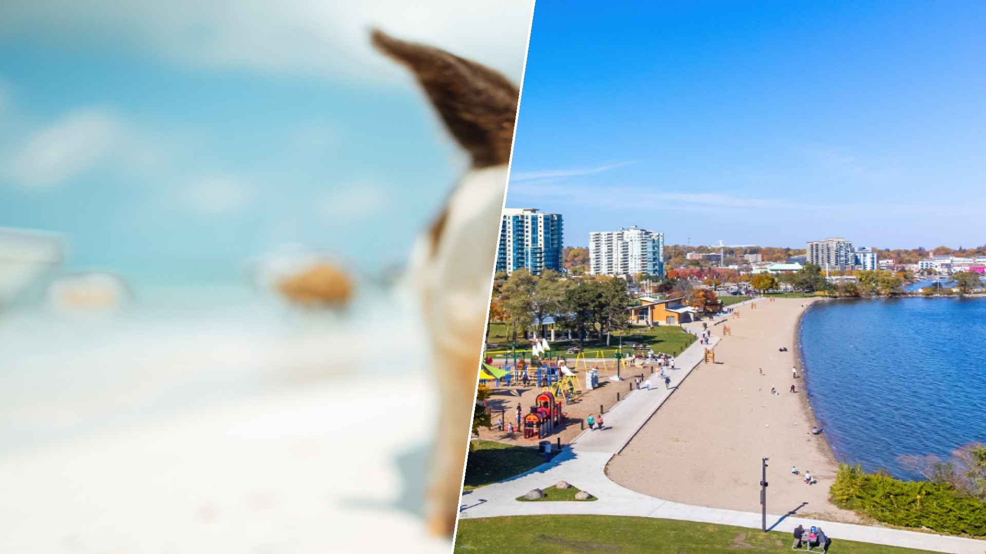 Staniel Cay to Barrie