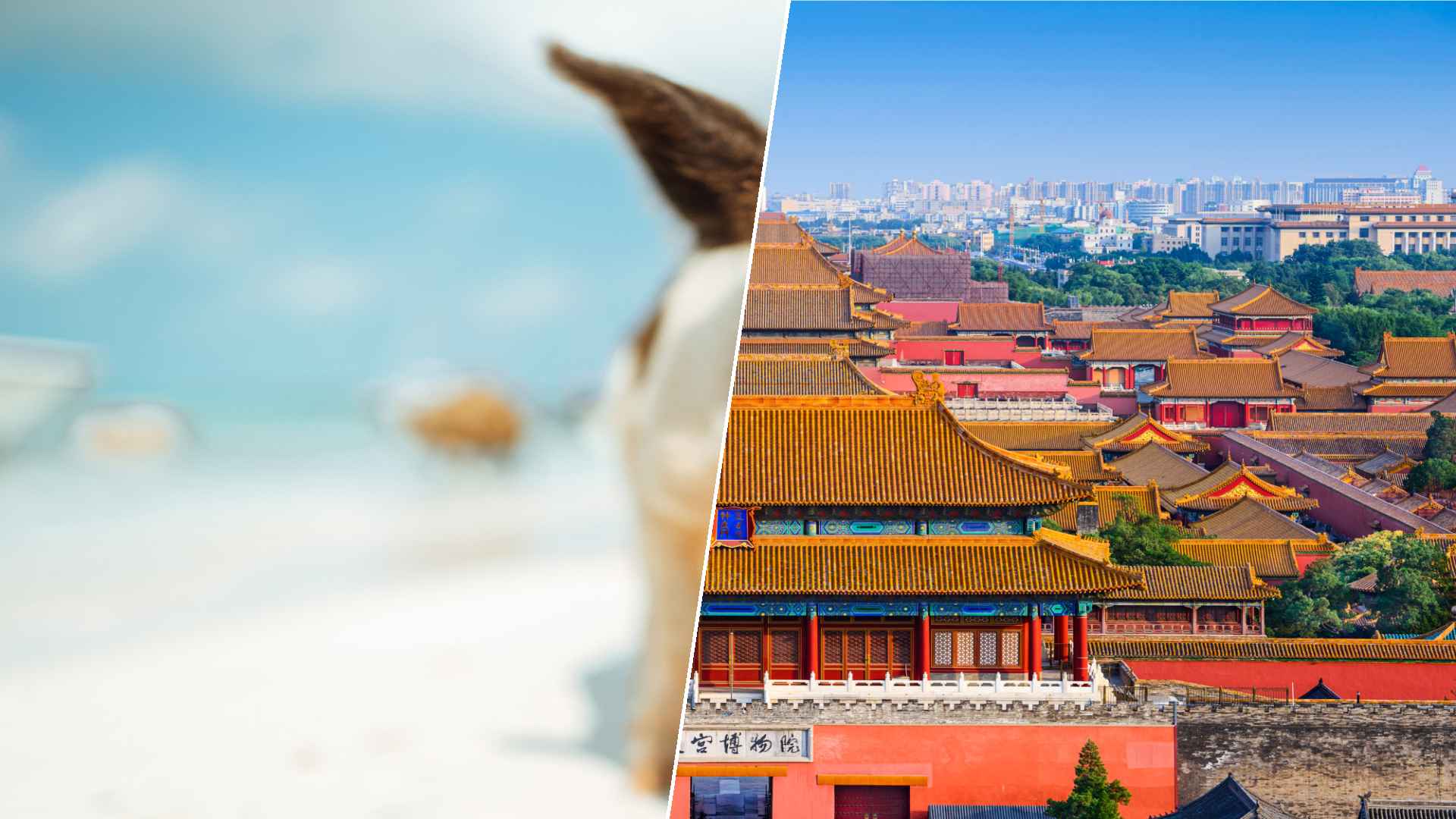 Staniel Cay to Beijing