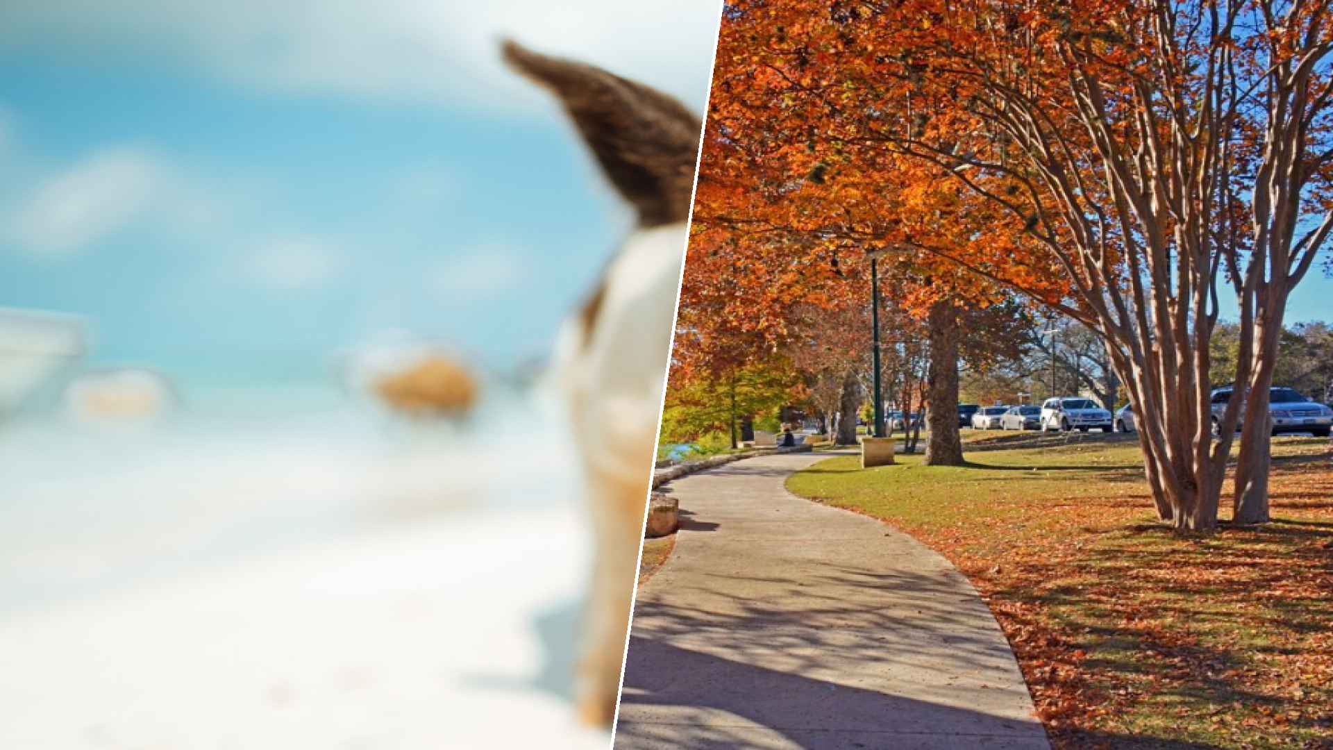 Staniel Cay to Boerne