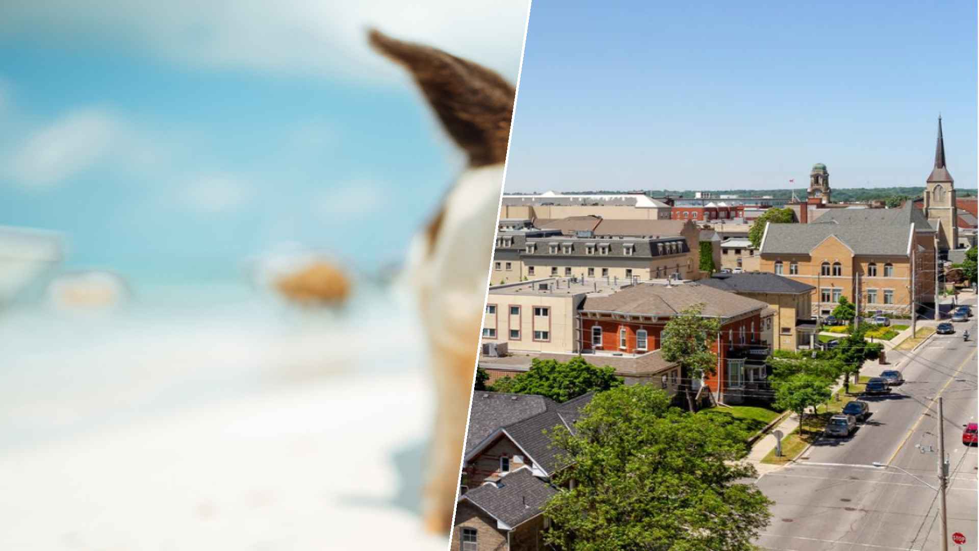 Staniel Cay to Brantford