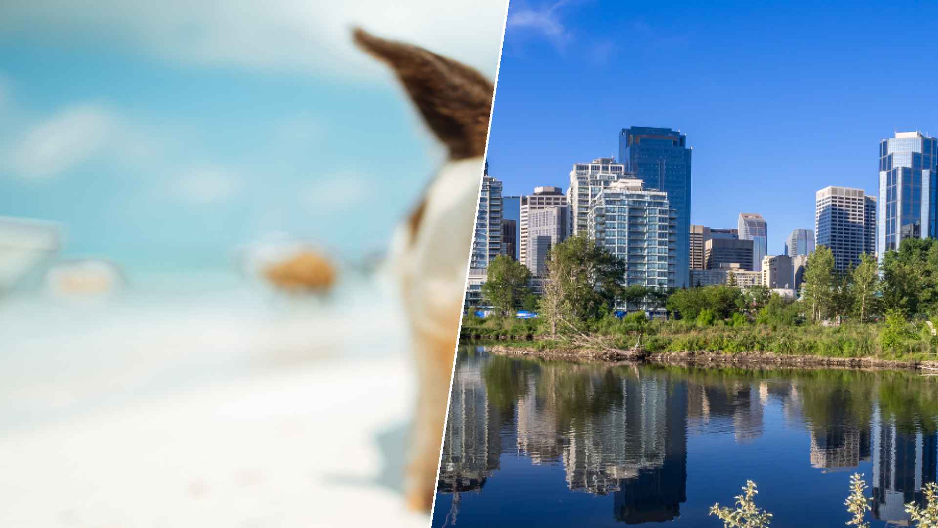 Staniel Cay to Calgary