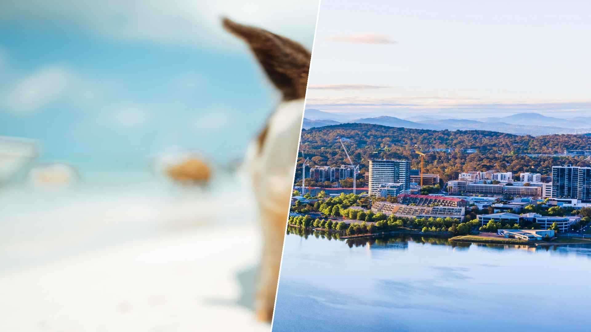 Staniel Cay to Canberra