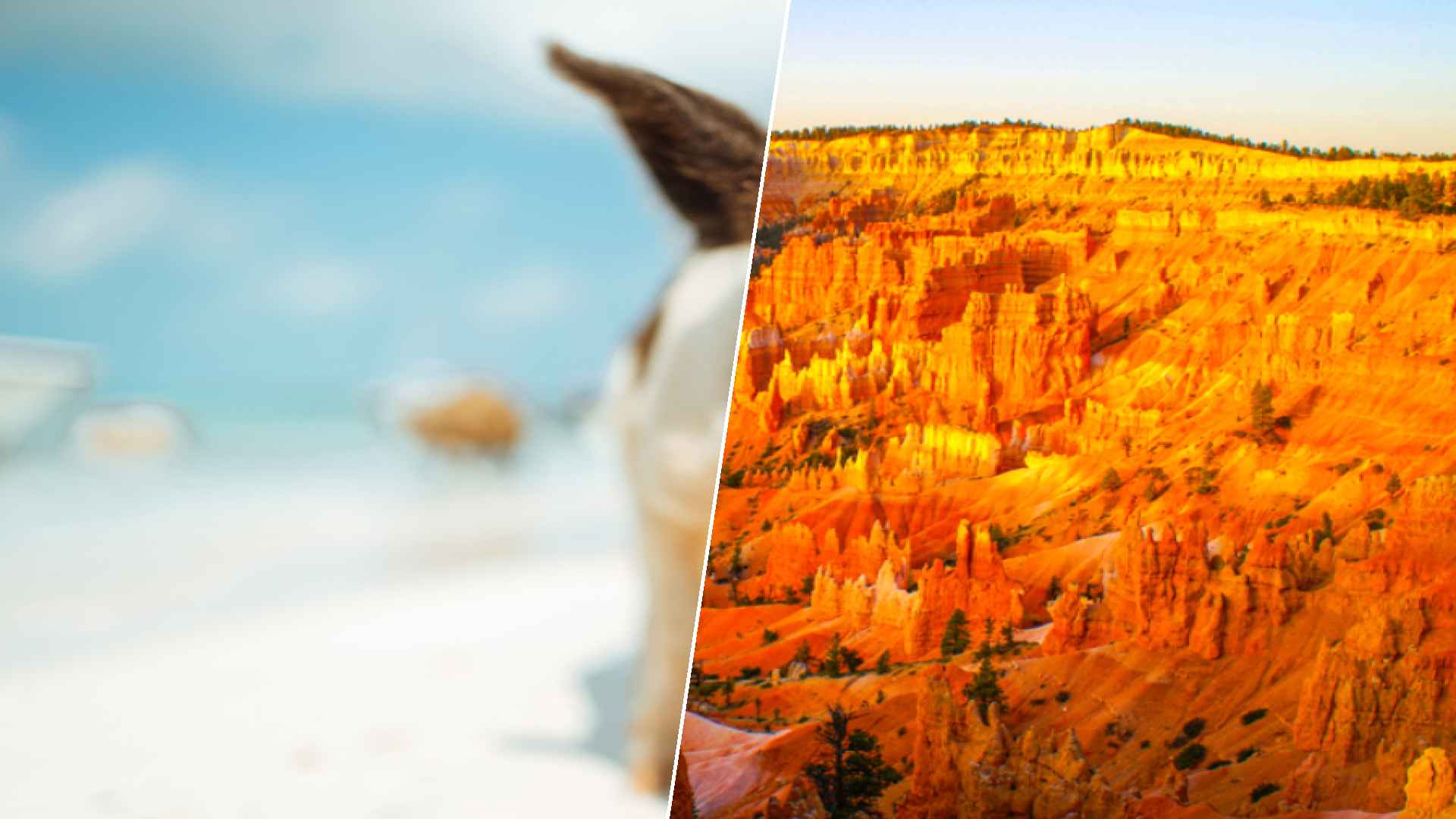 Staniel Cay to Canyon Point