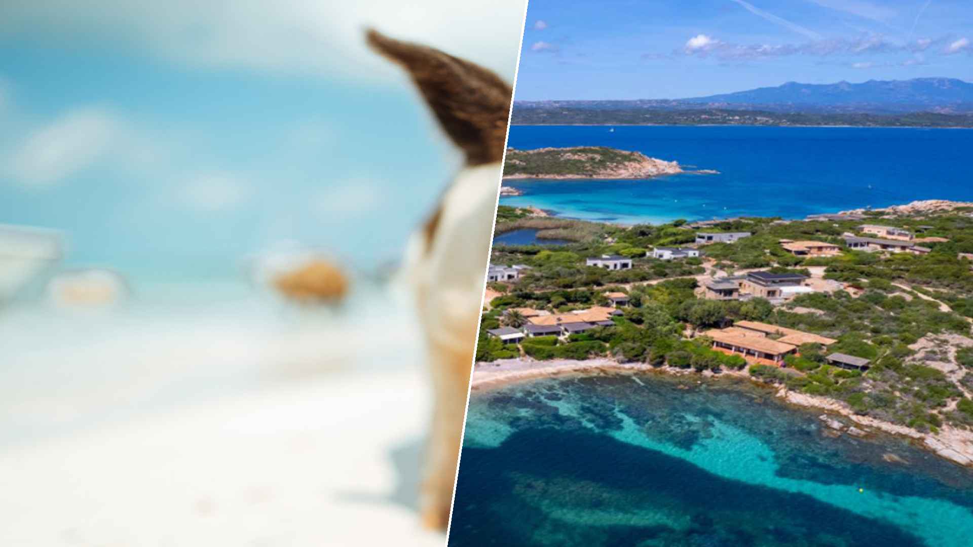 Staniel Cay to Cavallo