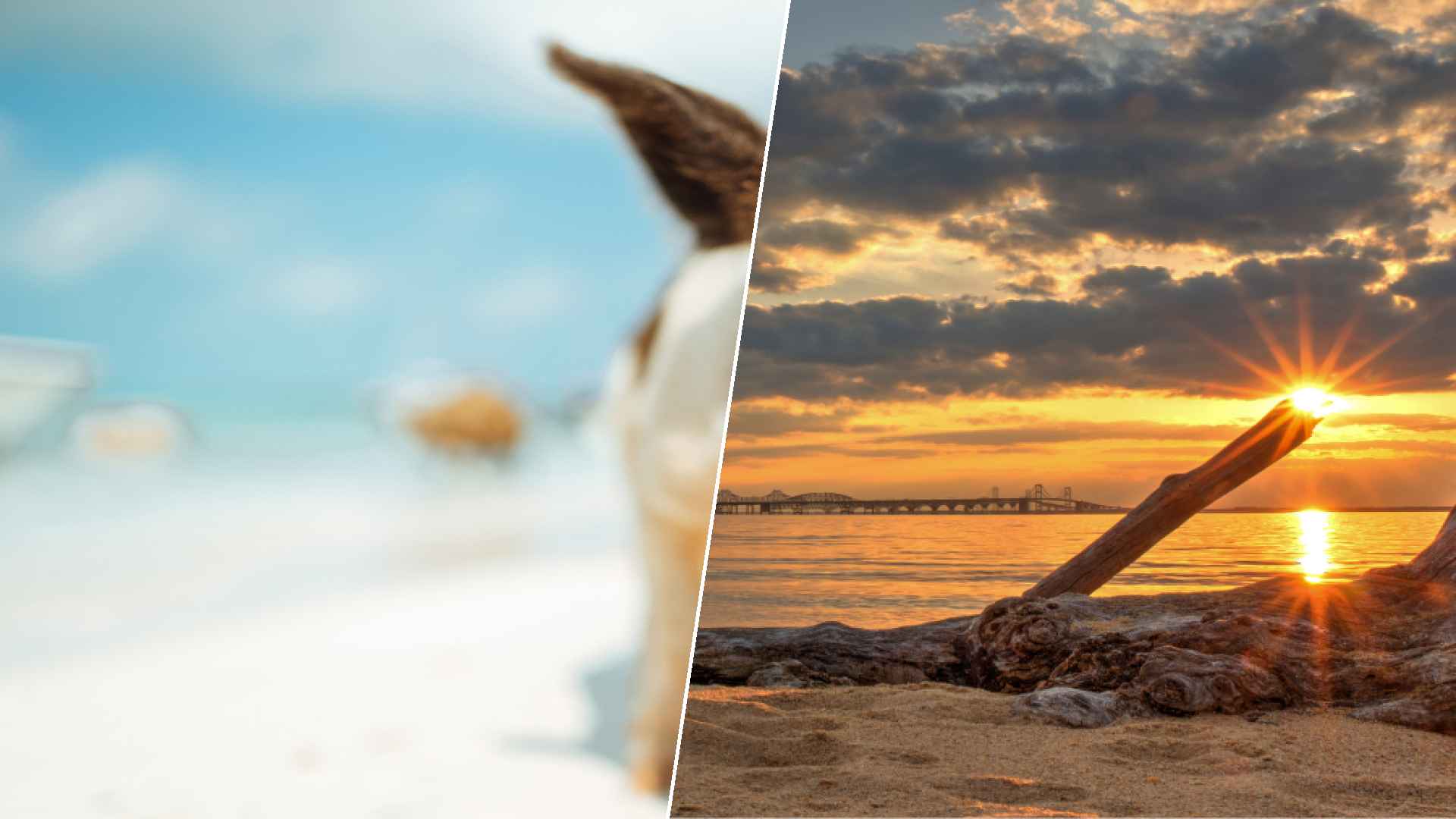 Staniel Cay to Chesapeake