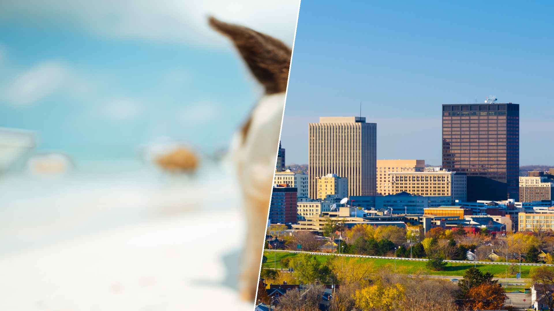 Staniel Cay to Dayton