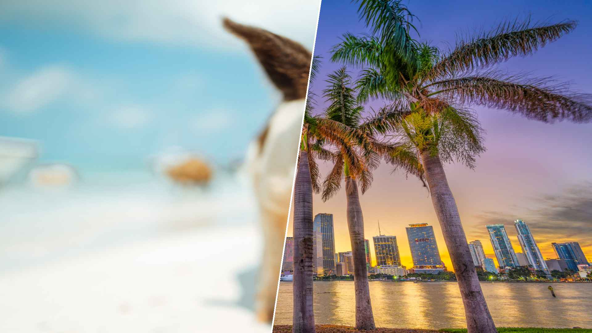 Staniel Cay to Destin