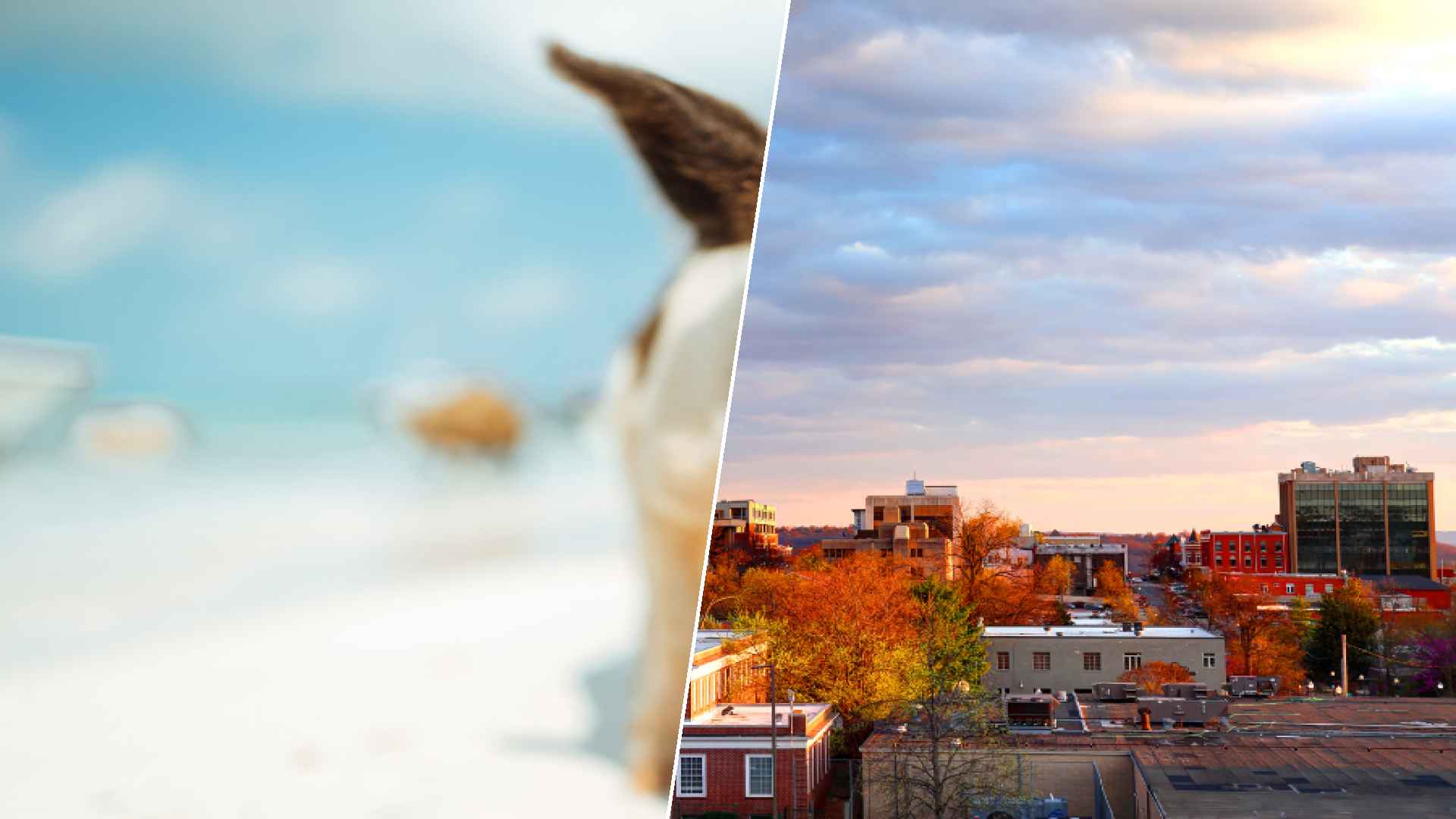 Staniel Cay to Fayetteville