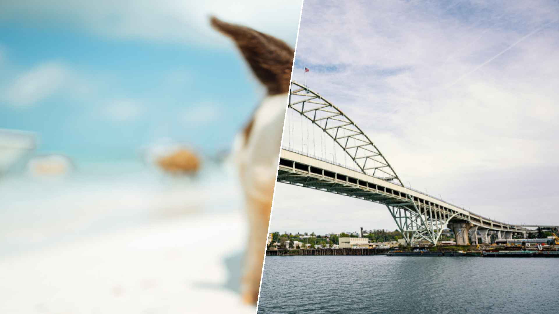 Staniel Cay to Fremont