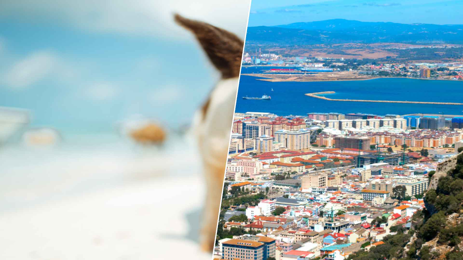 Staniel Cay to Gibraltar