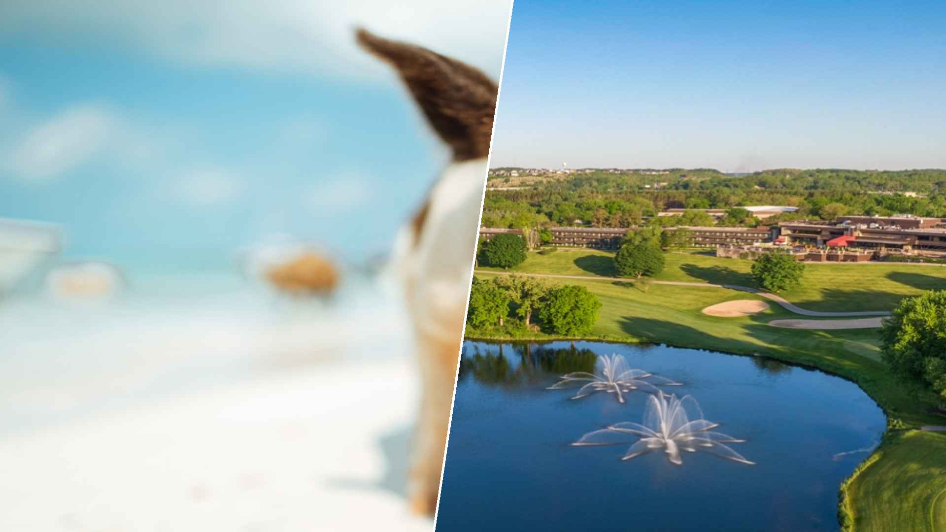 Staniel Cay to Grand Geneva Resort