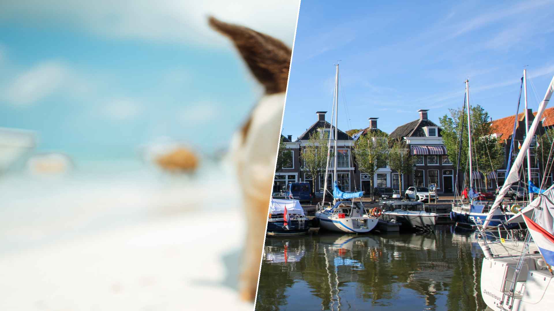 Staniel Cay to Harlingen