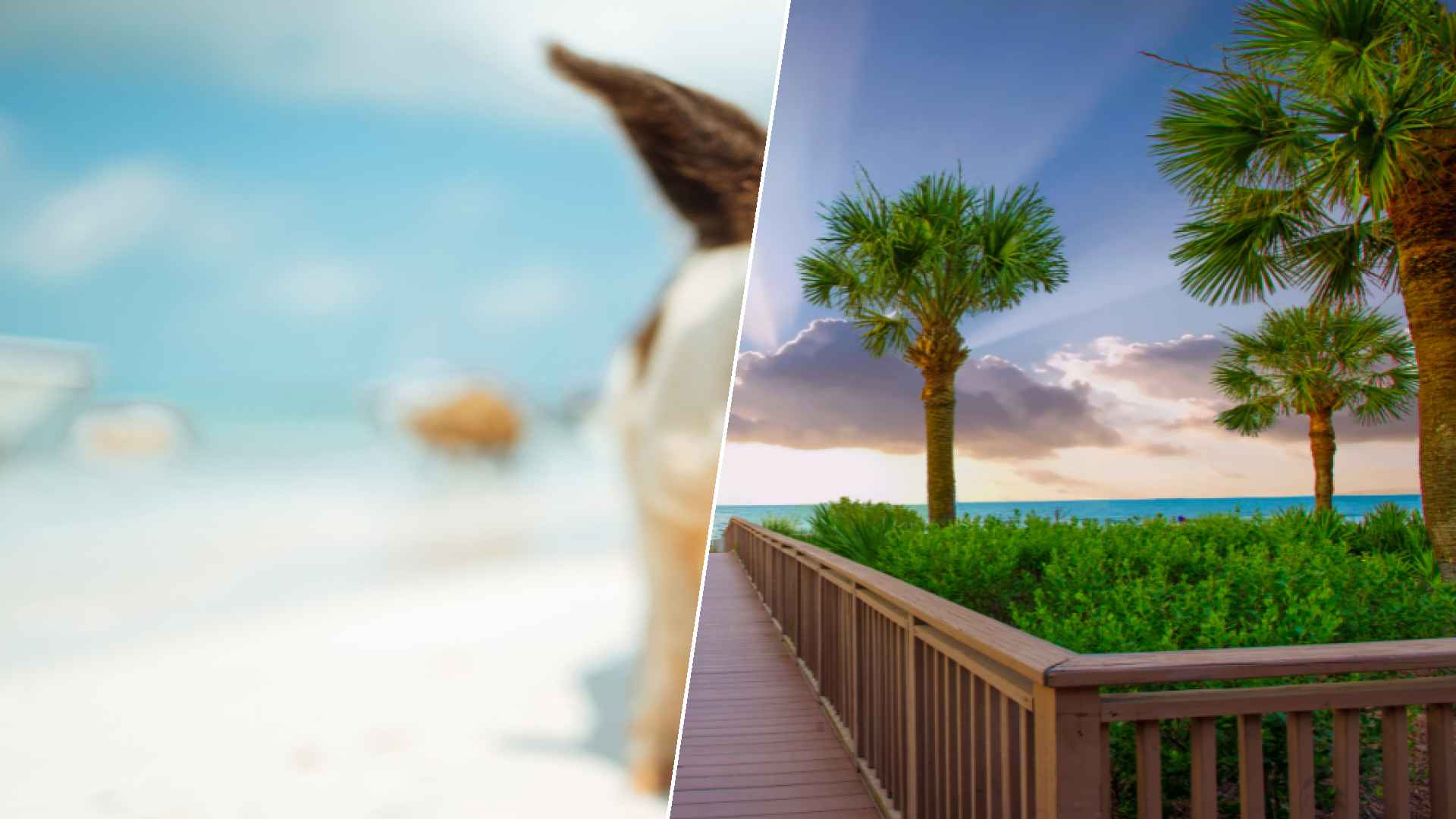 Staniel Cay to Hilton Head Island