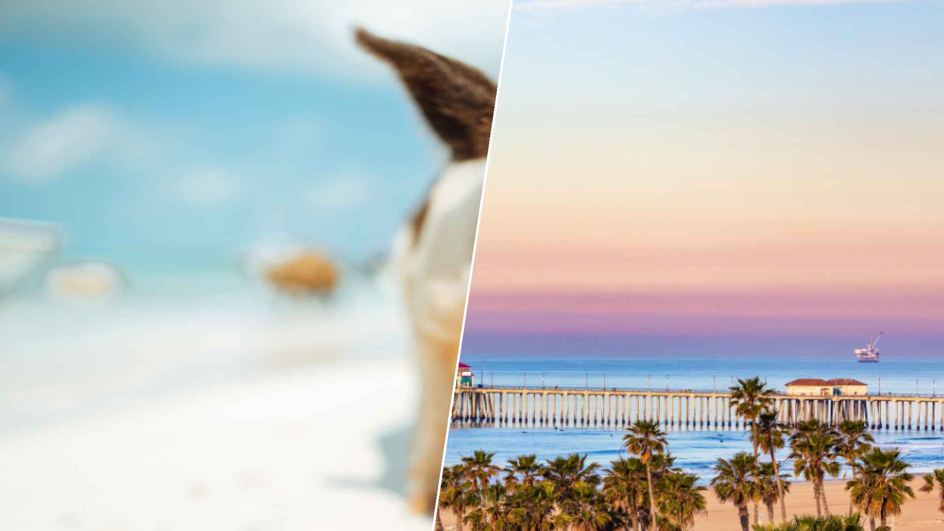 Staniel Cay to Huntington Beach