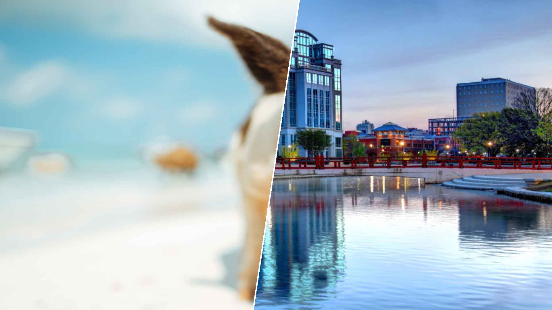 Staniel Cay to Huntsville