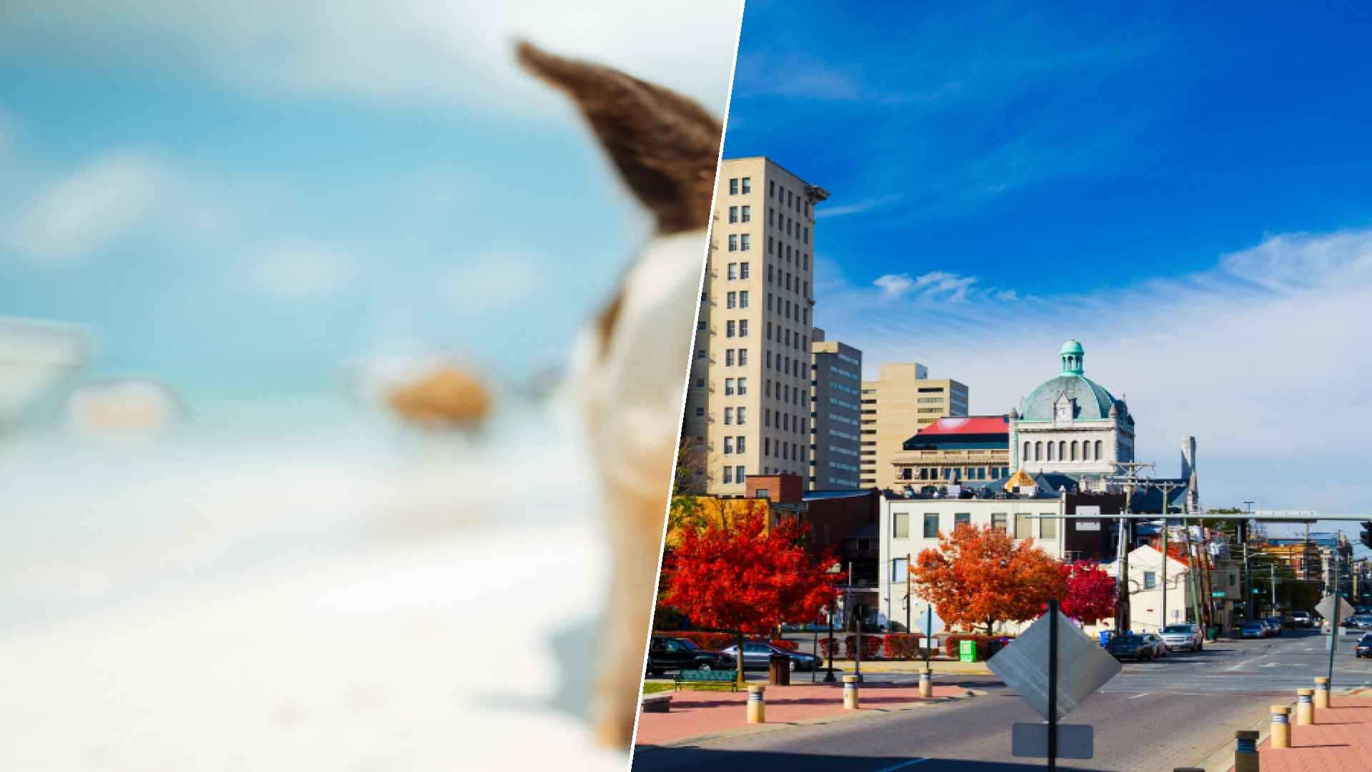 Staniel Cay to Lexington