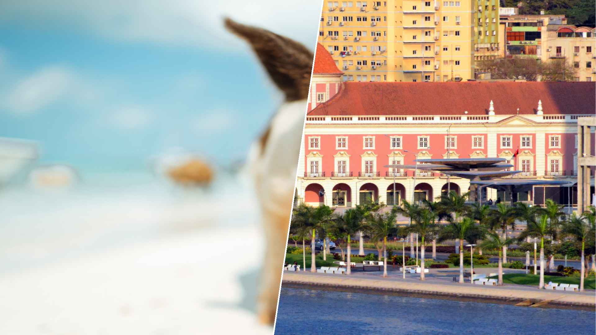 Staniel Cay to Luanda