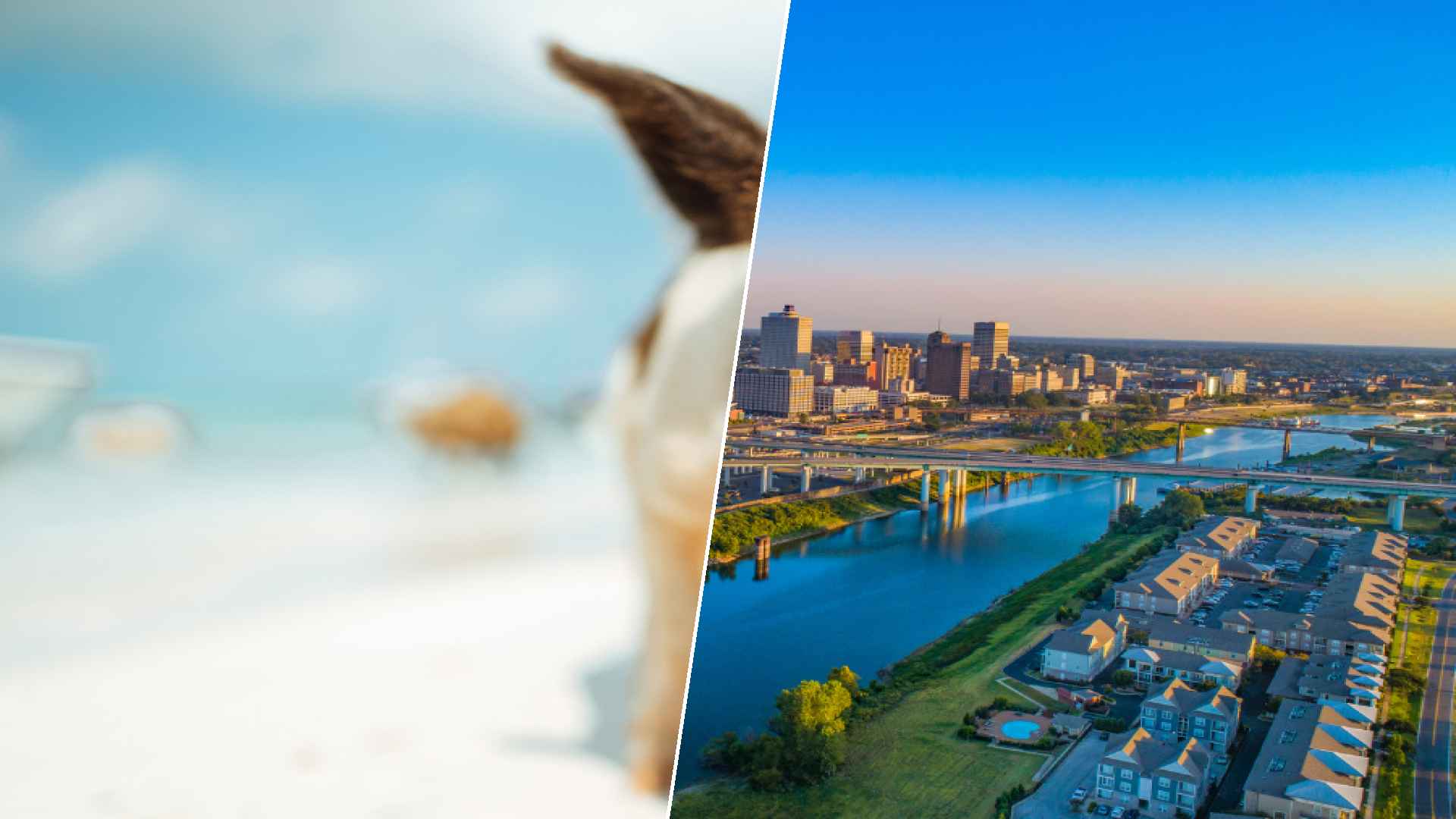 Staniel Cay to Memphis