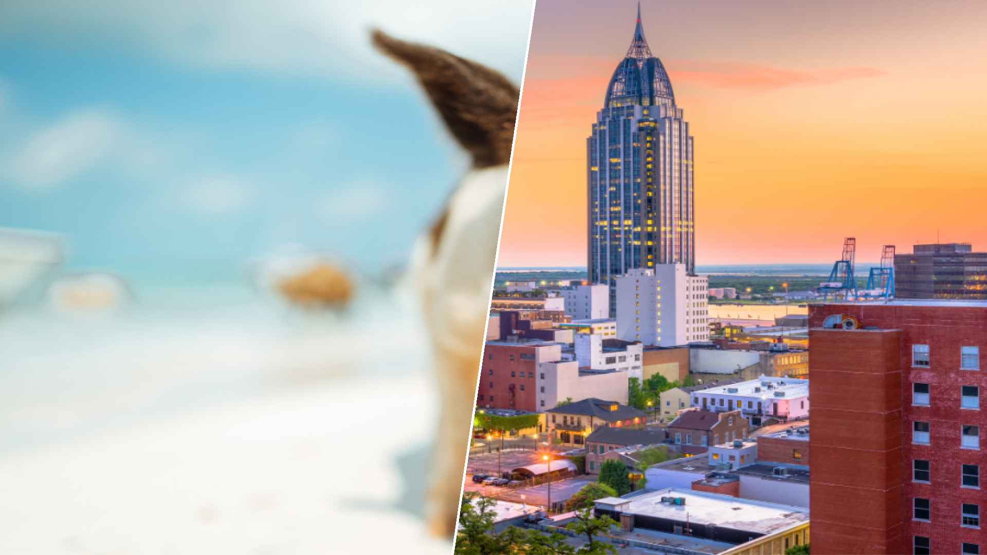 Staniel Cay to Mobile