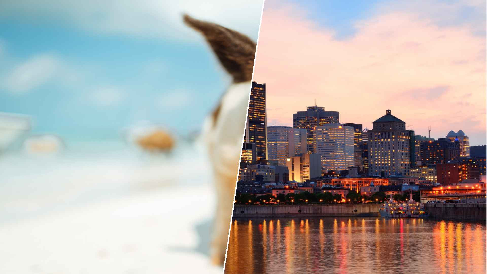 Staniel Cay to Montréal