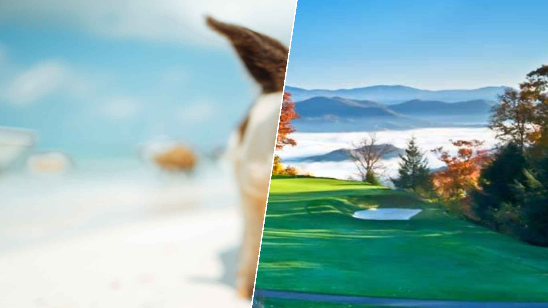 Staniel Cay to Mountain Air Country Club