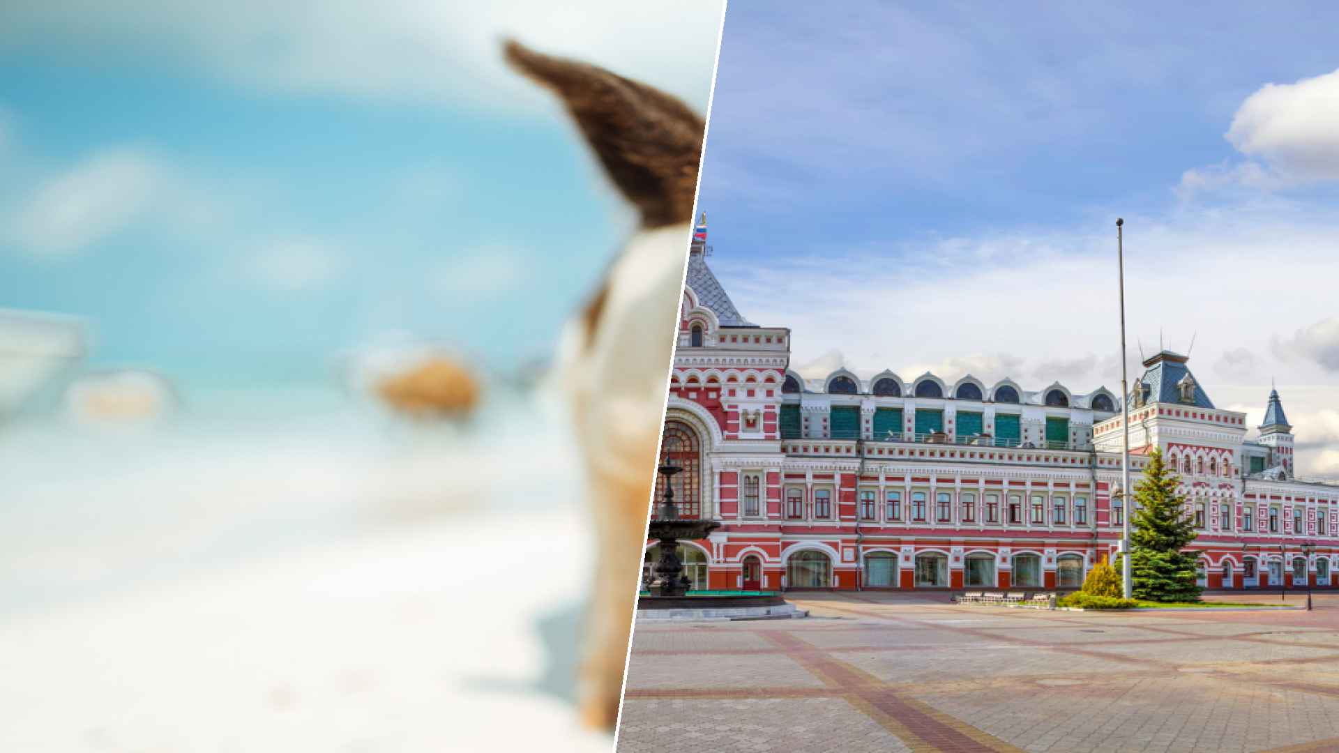 Staniel Cay to Nizhny Novgorod