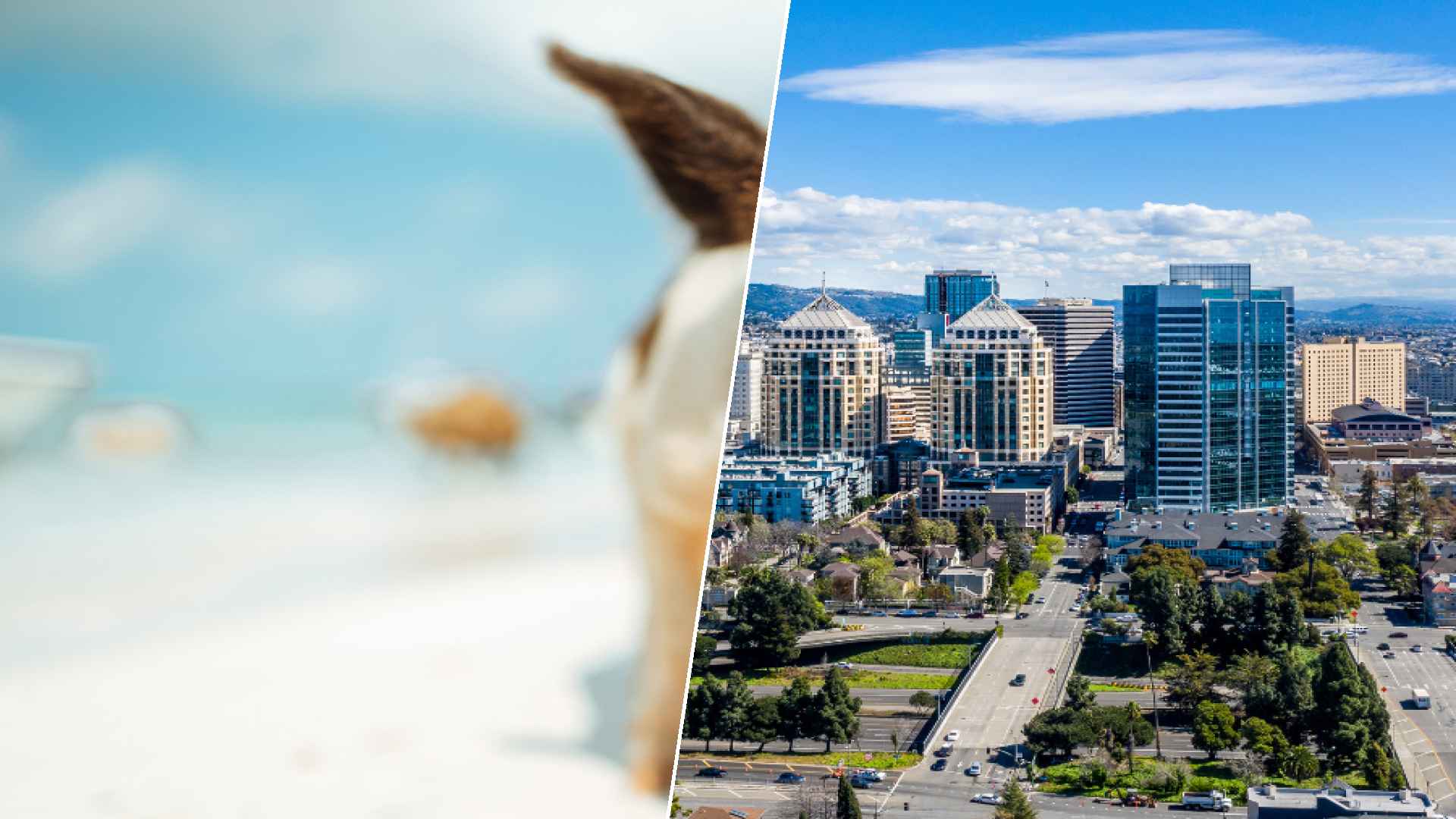 Staniel Cay to Oakland