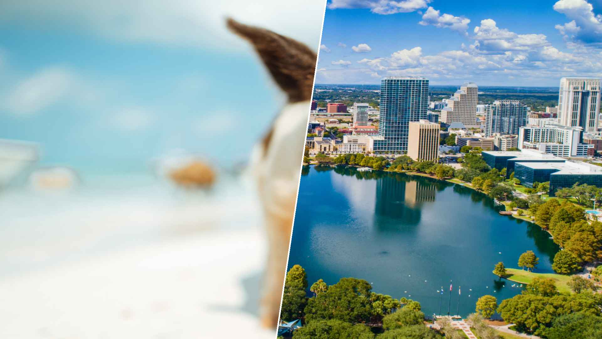 Staniel Cay to Orlando