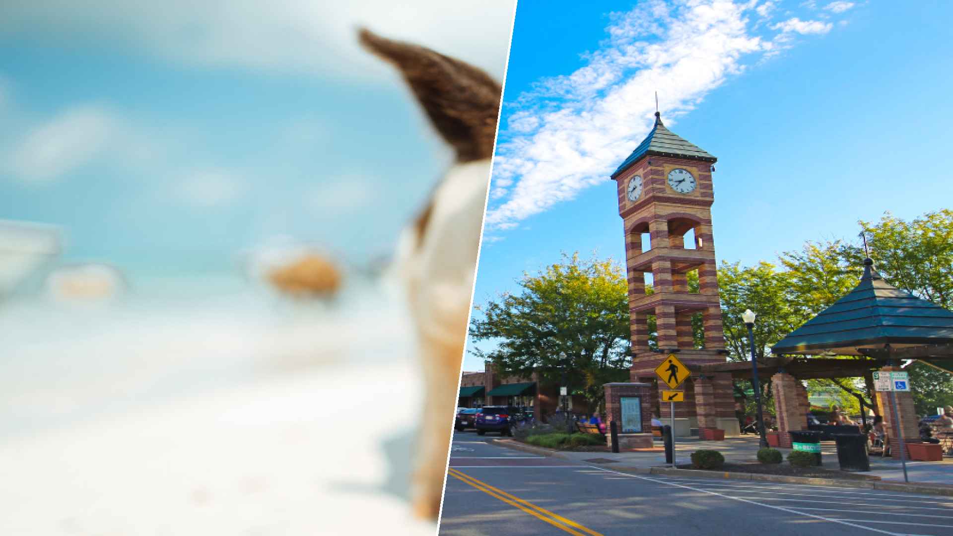 Staniel Cay to Overland Park