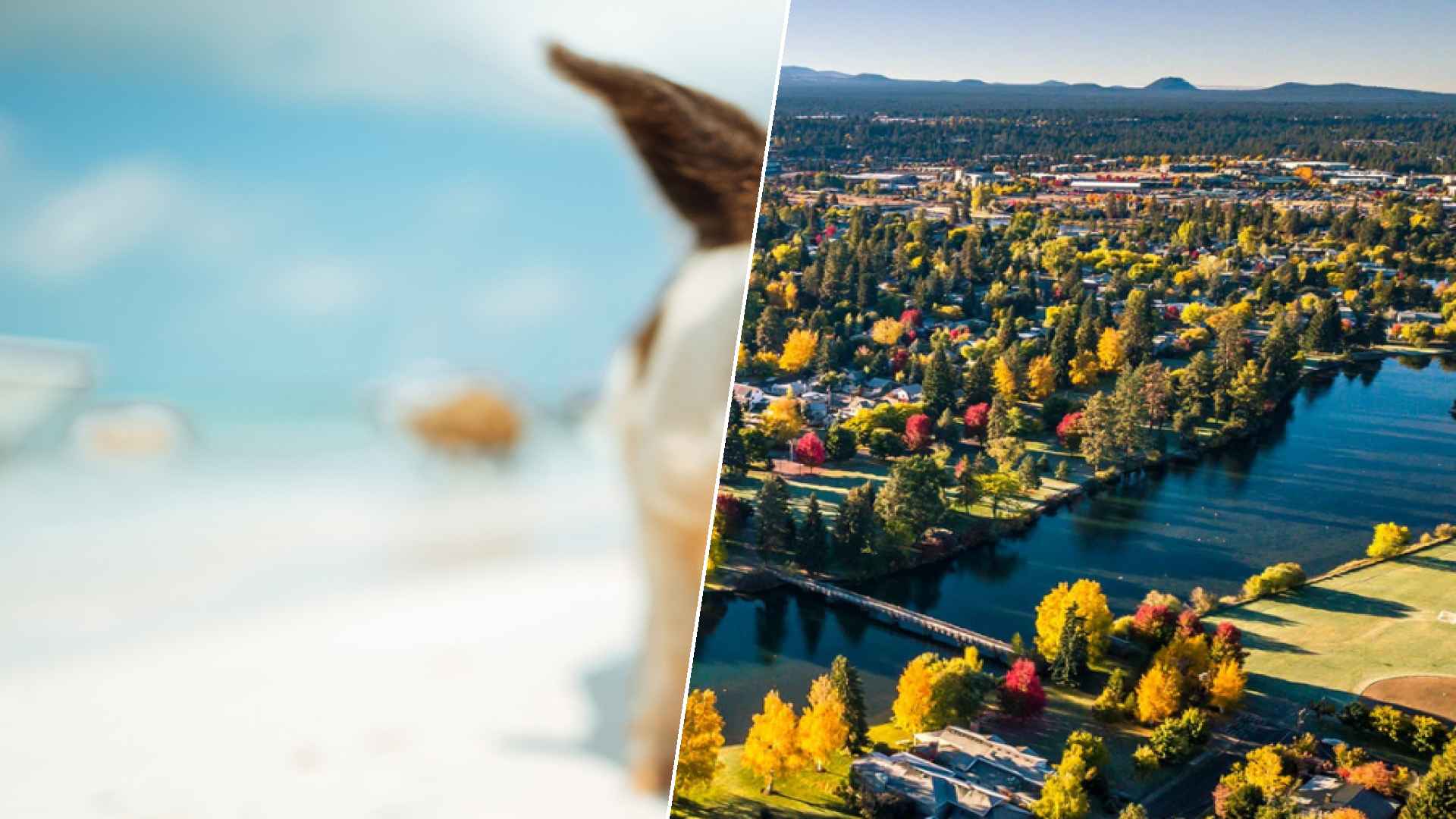 Staniel Cay to Red Deer