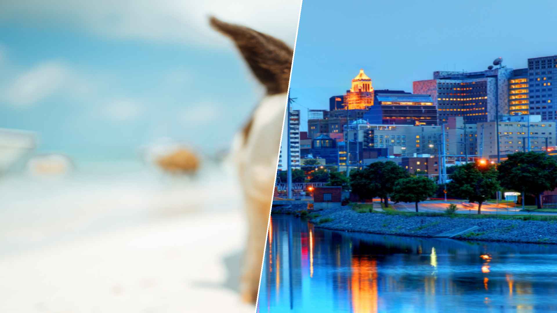 Staniel Cay to Rochester