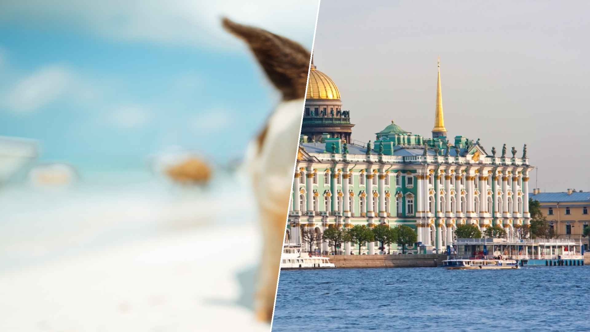 Staniel Cay to Saint Petersburg