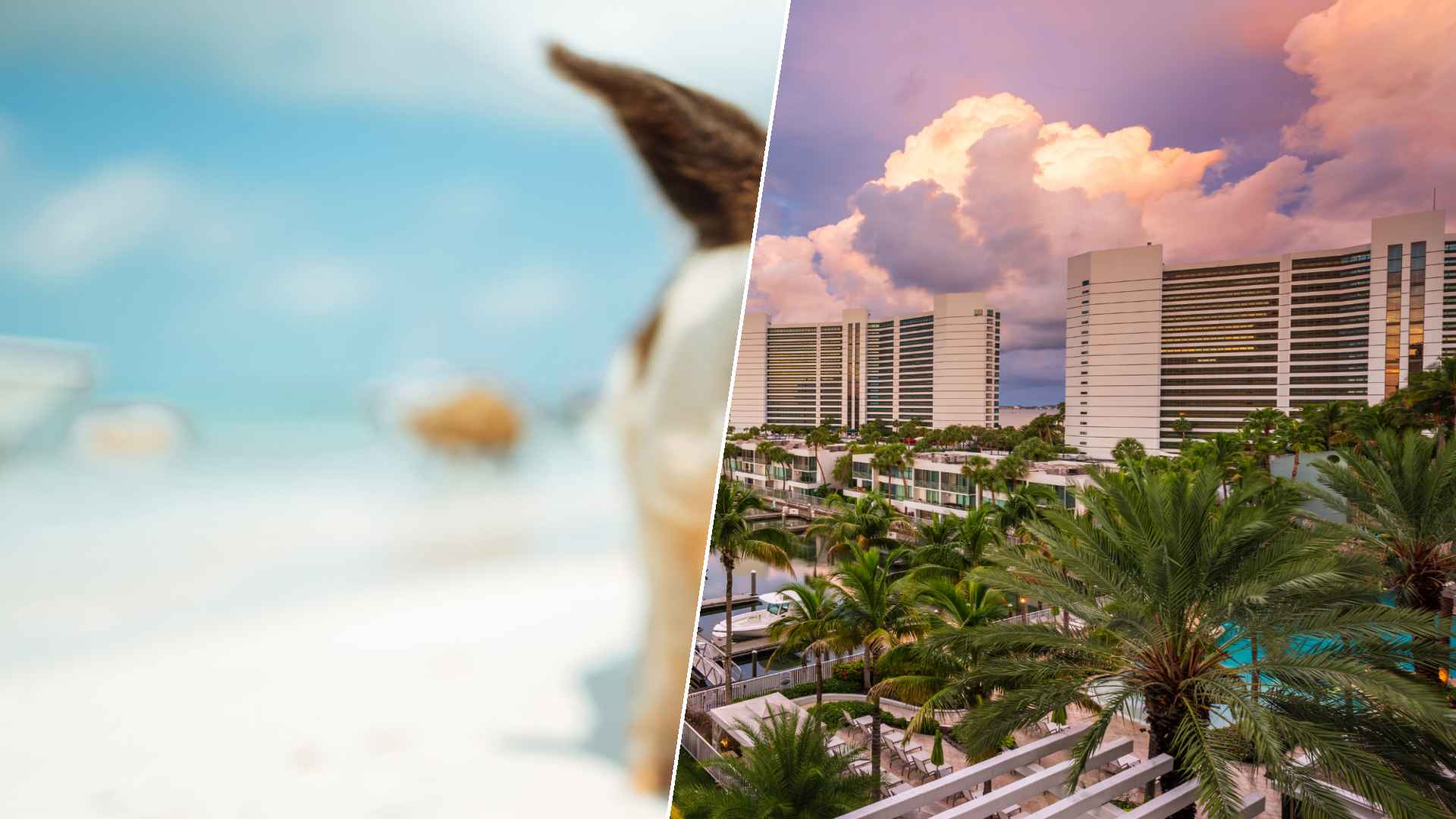 Staniel Cay to Sarasota