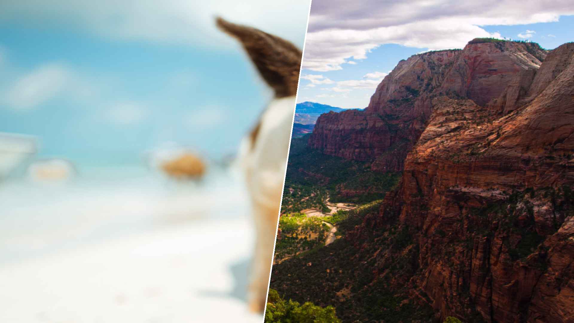 Staniel Cay to St. George