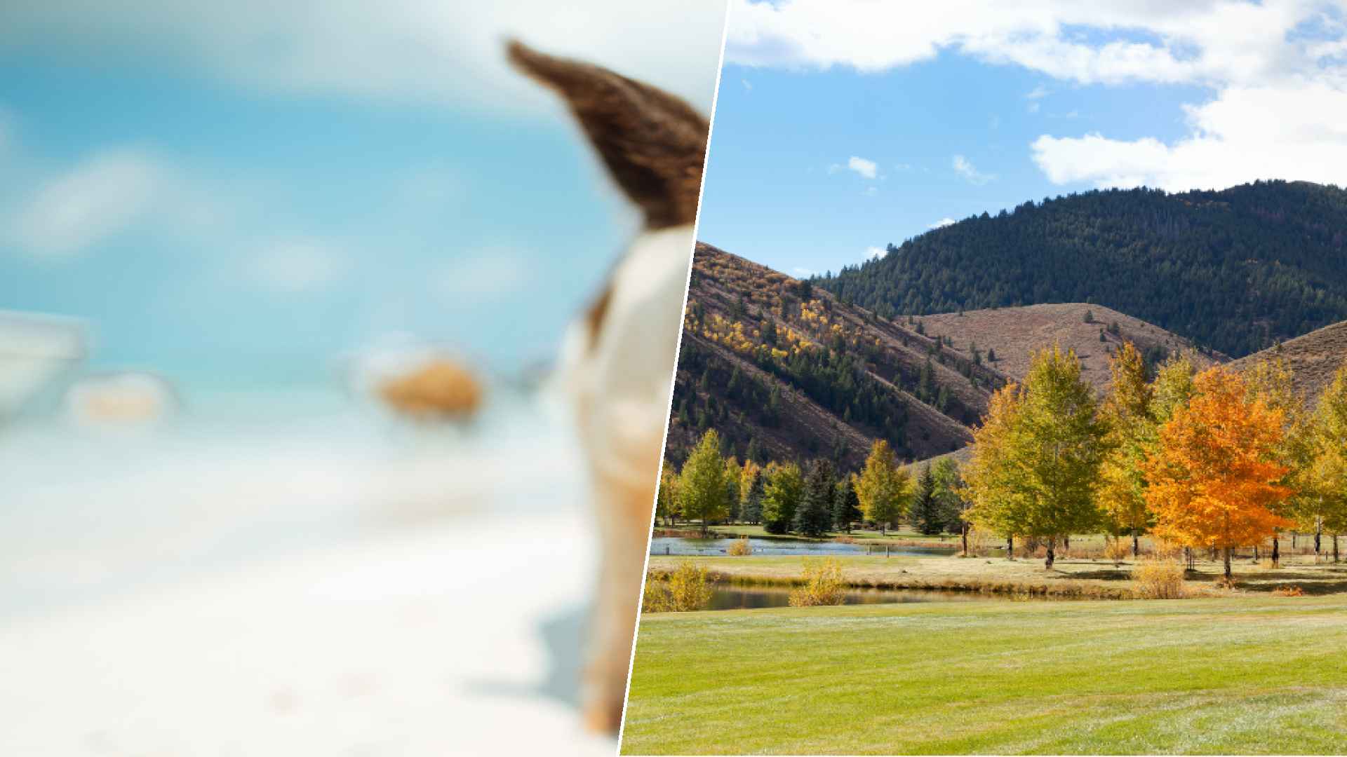 Staniel Cay to Sun valley