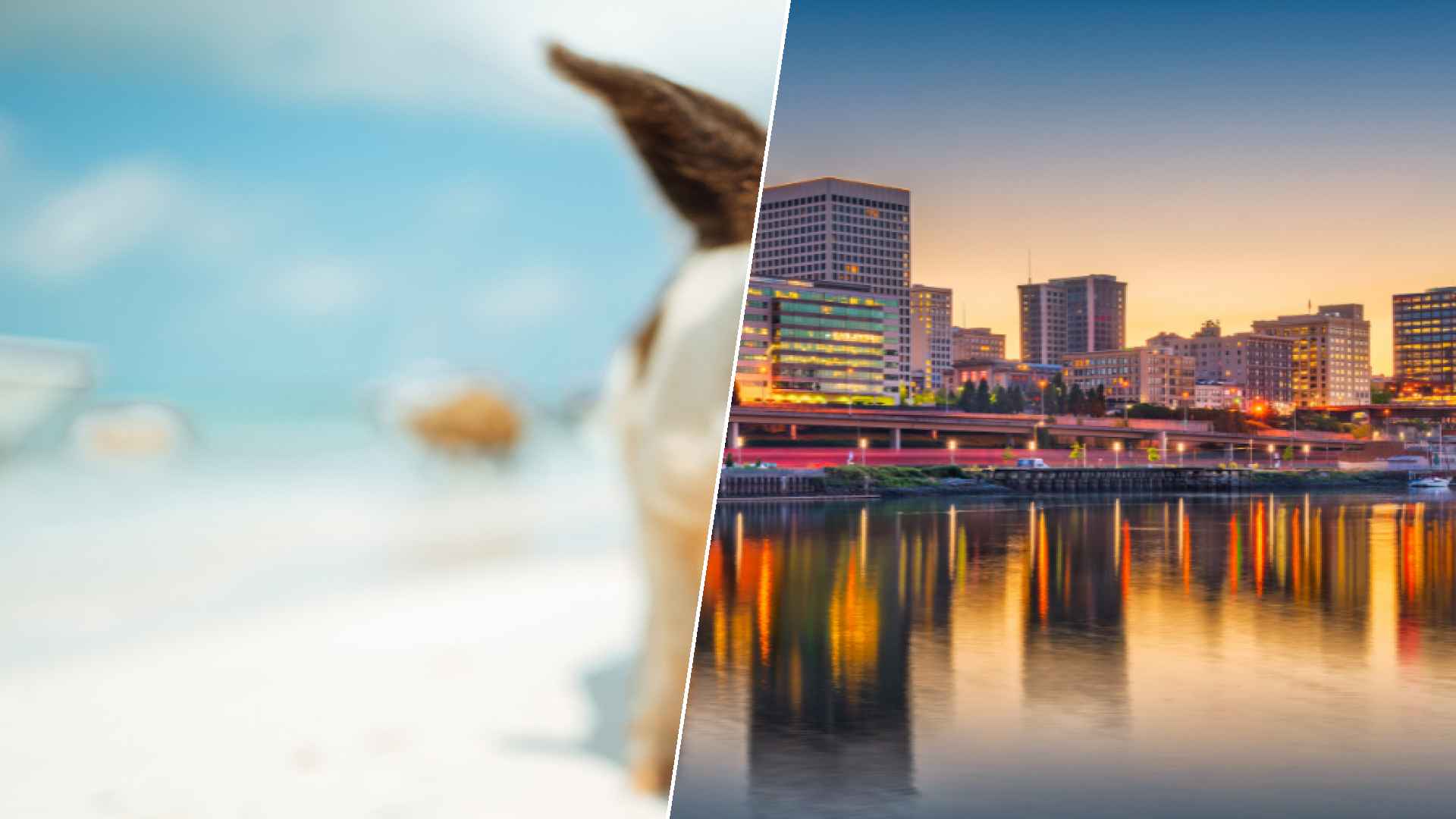 Staniel Cay to Tacoma