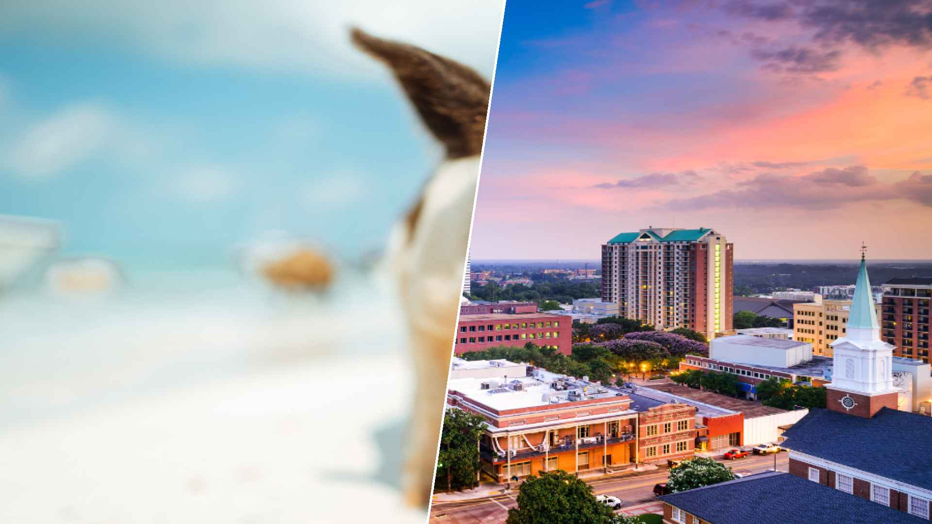 Staniel Cay to Tallahassee