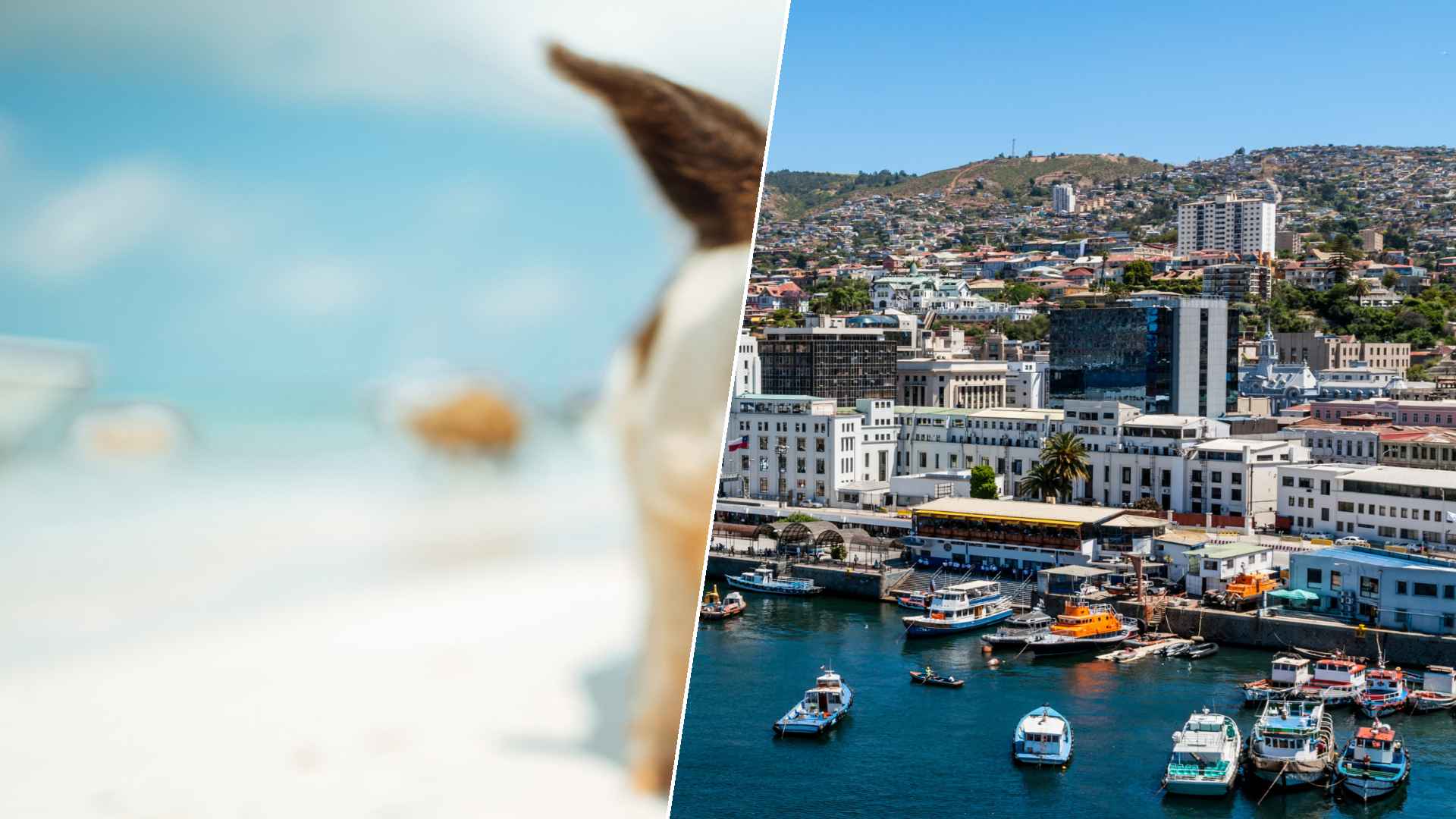 Staniel Cay to Valparaíso