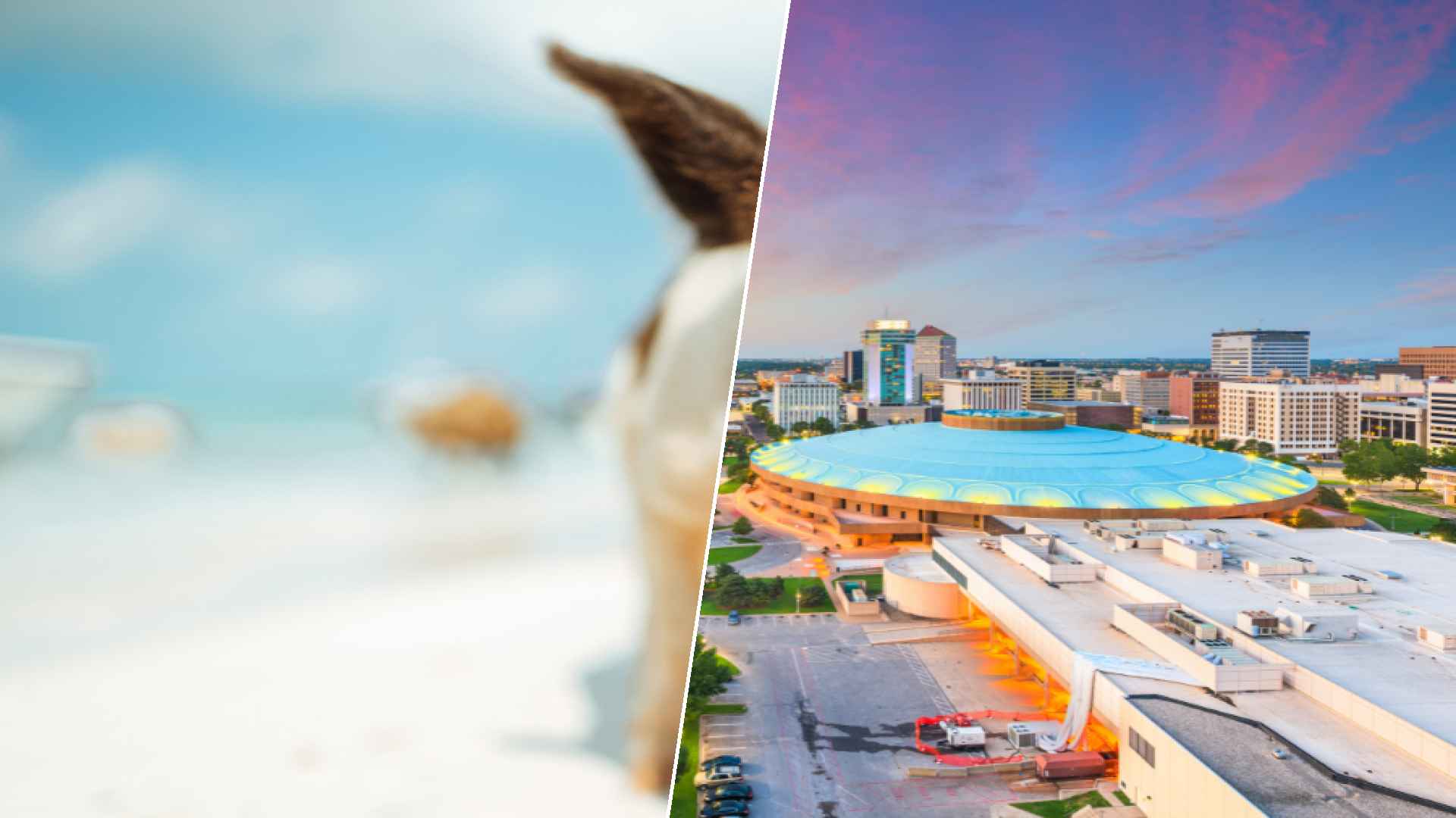 Staniel Cay to Wichita