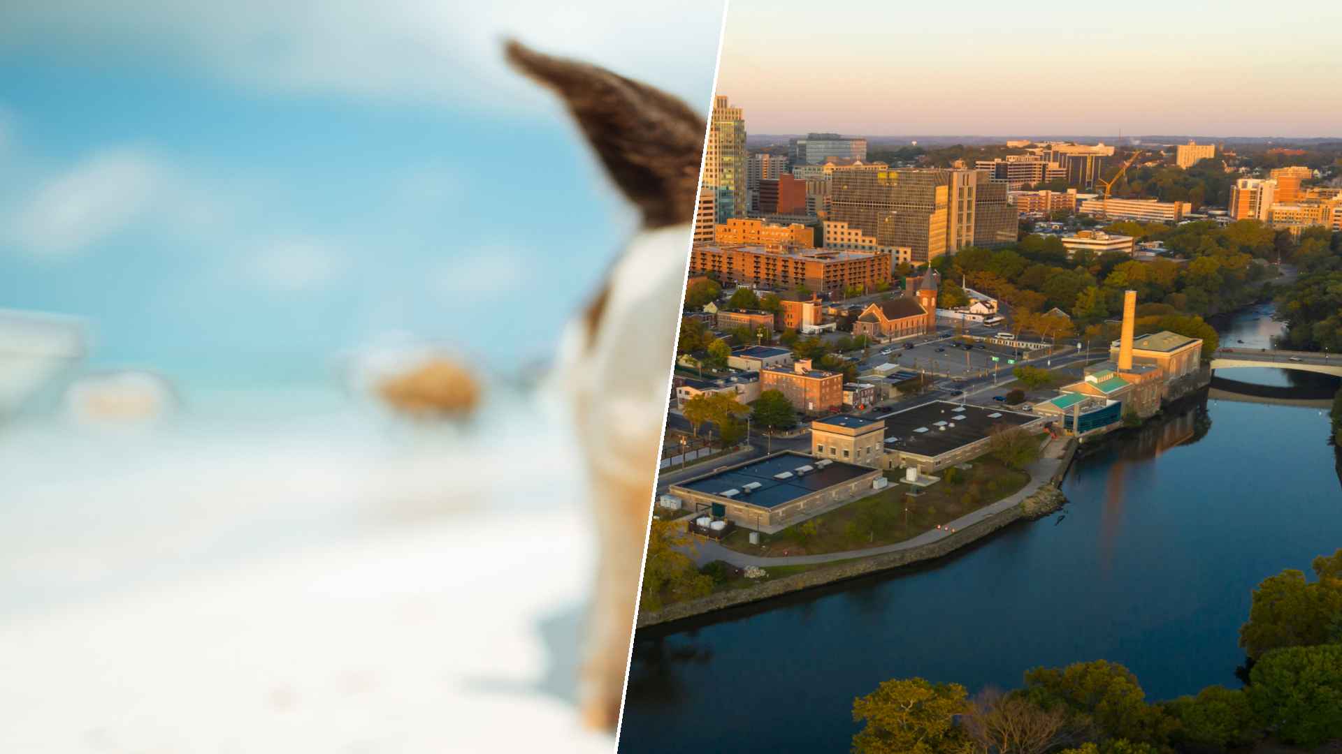 Staniel Cay to Wilmington