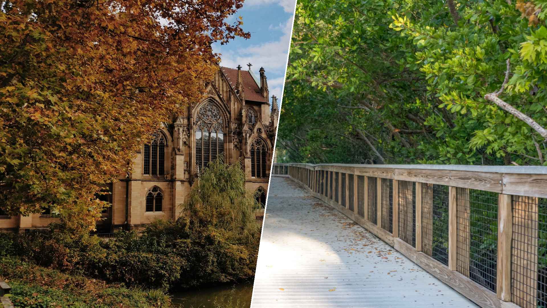 Stuttgart to Port St. Lucie