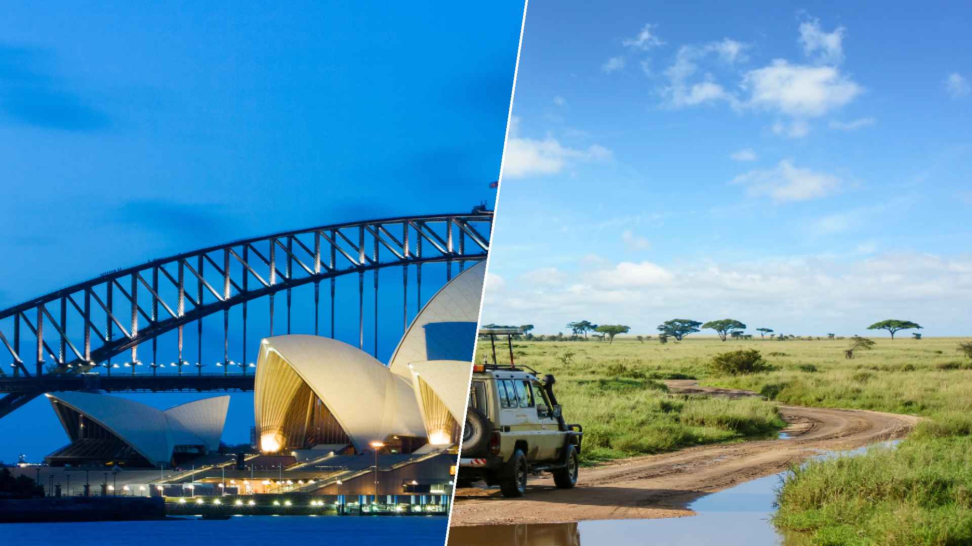 Sydney to Serengeti