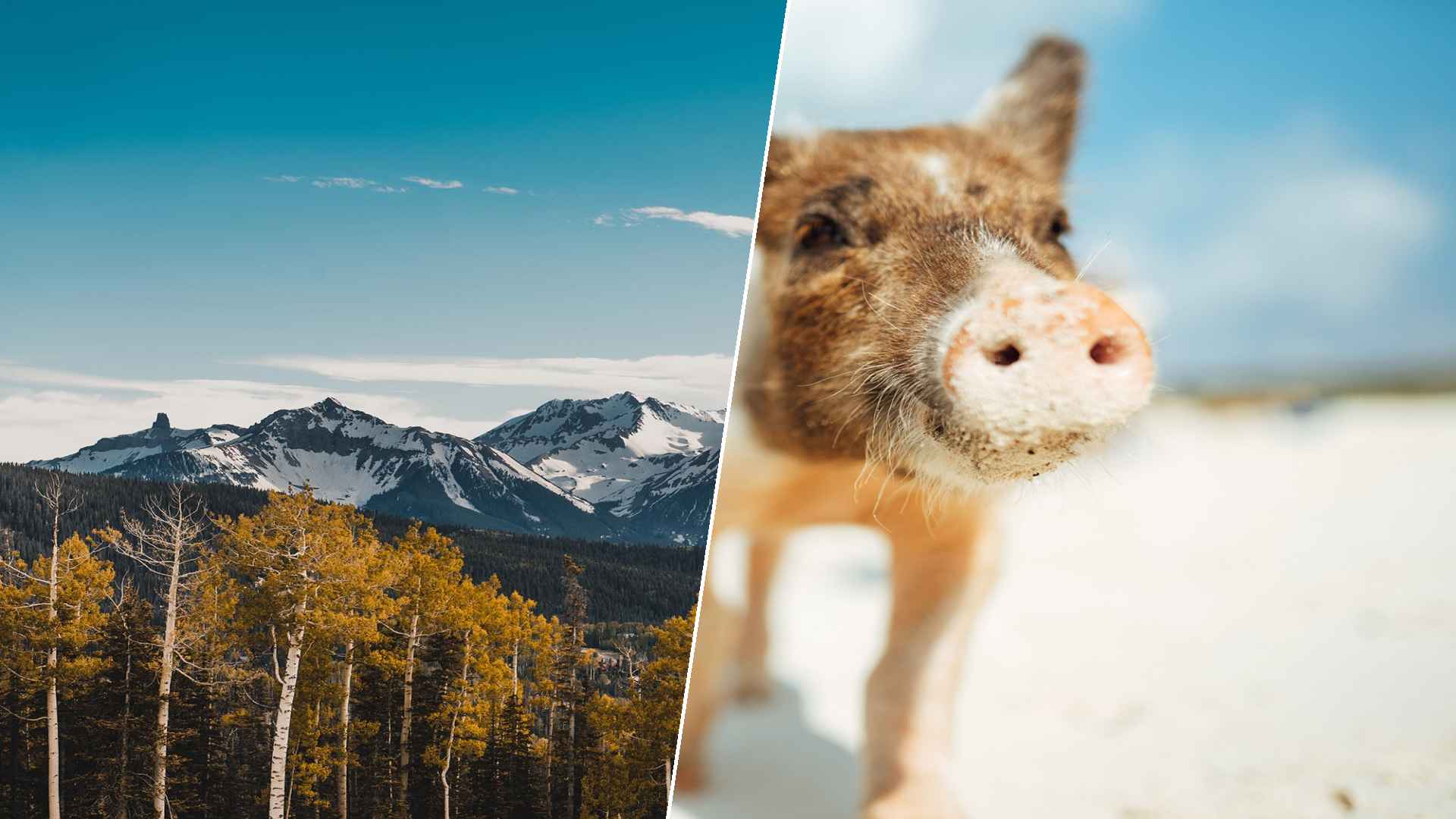 Telluride to Staniel Cay