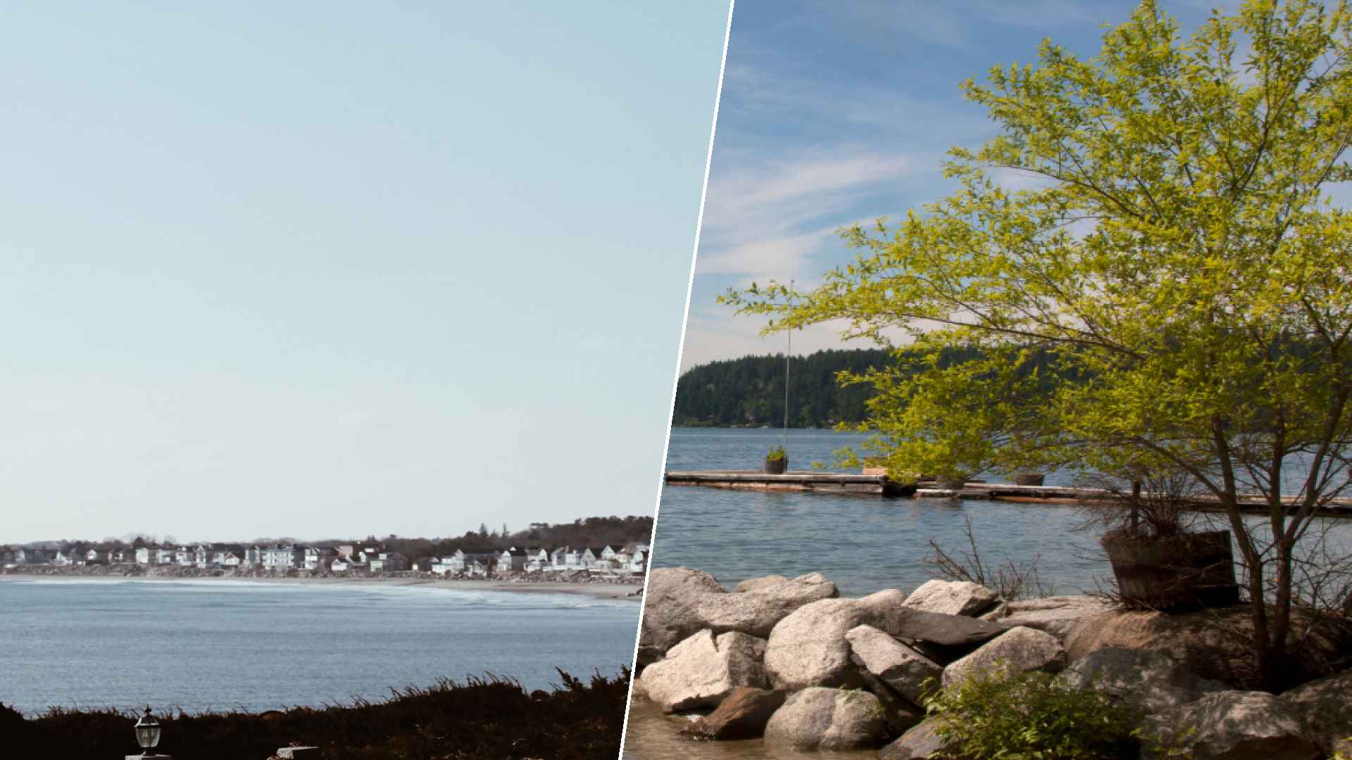 The Hamptons to Hayden