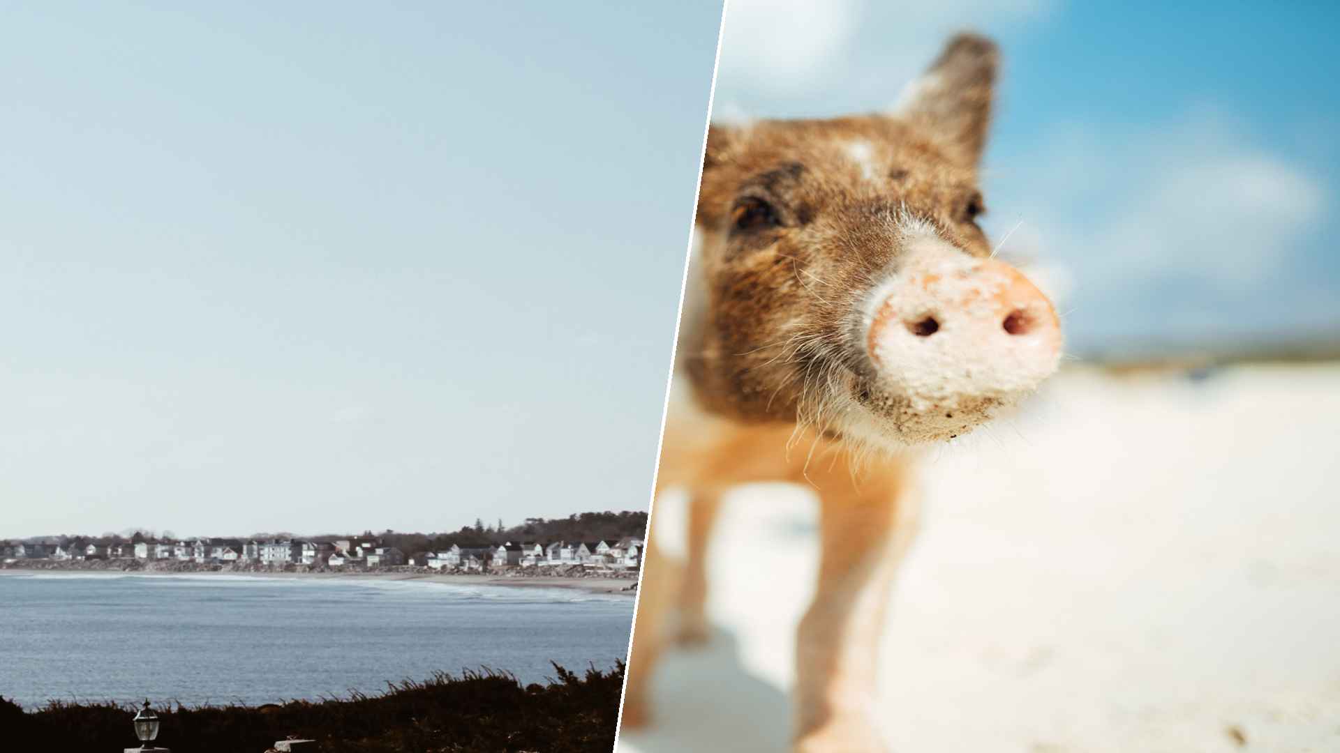 The Hamptons to Staniel Cay